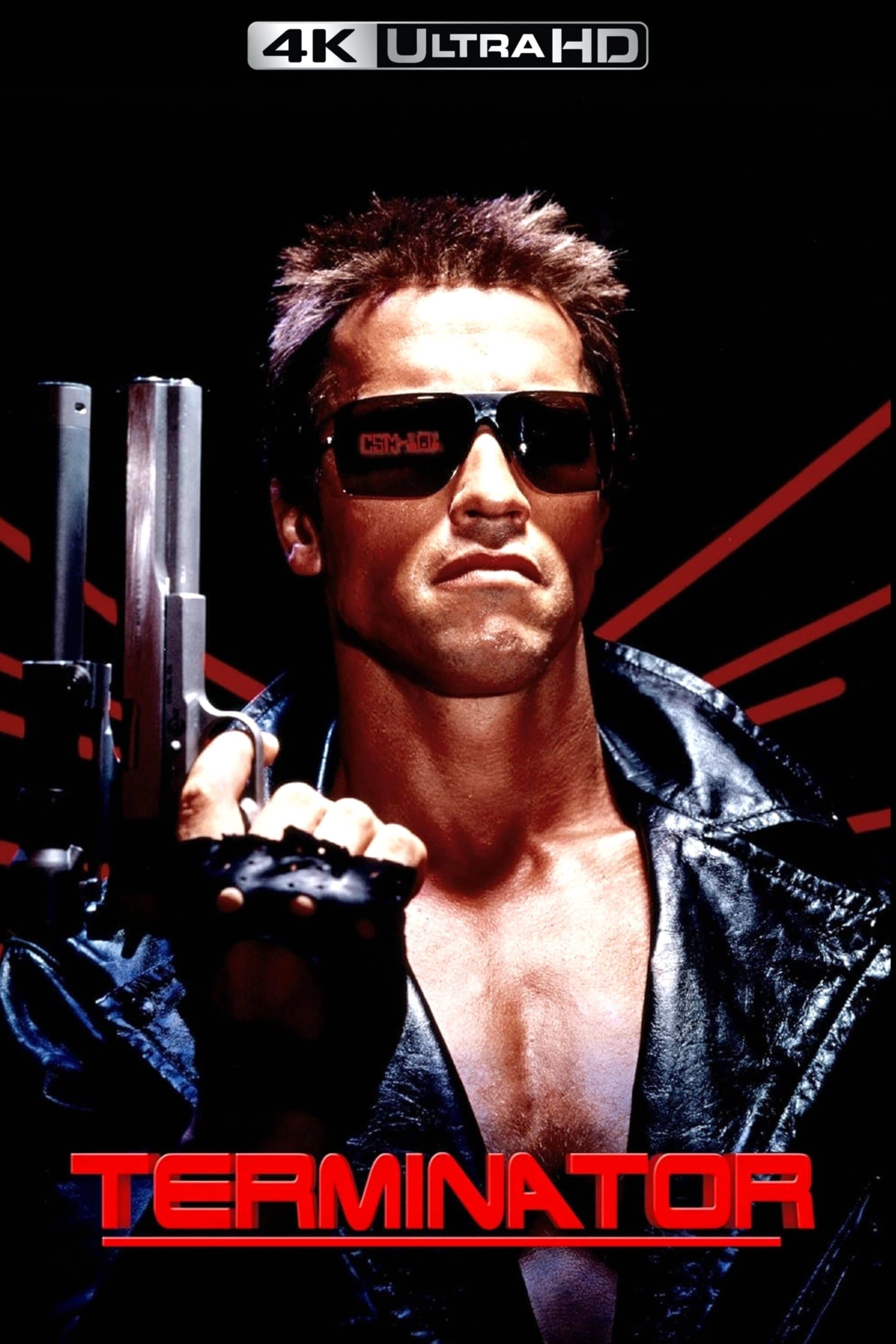 Immagine Terminator - Poster - Sfondi
