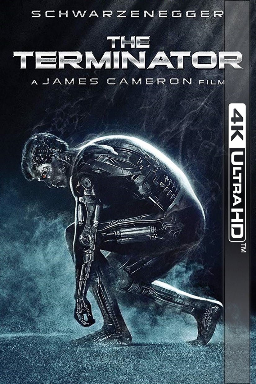 Immagine Terminator - Poster - Sfondi