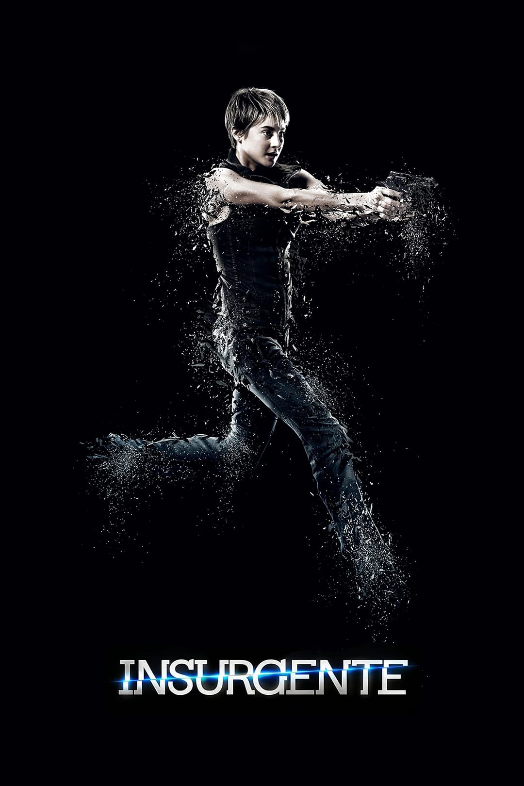 Immagine Insurgent - Poster - Sfondi
