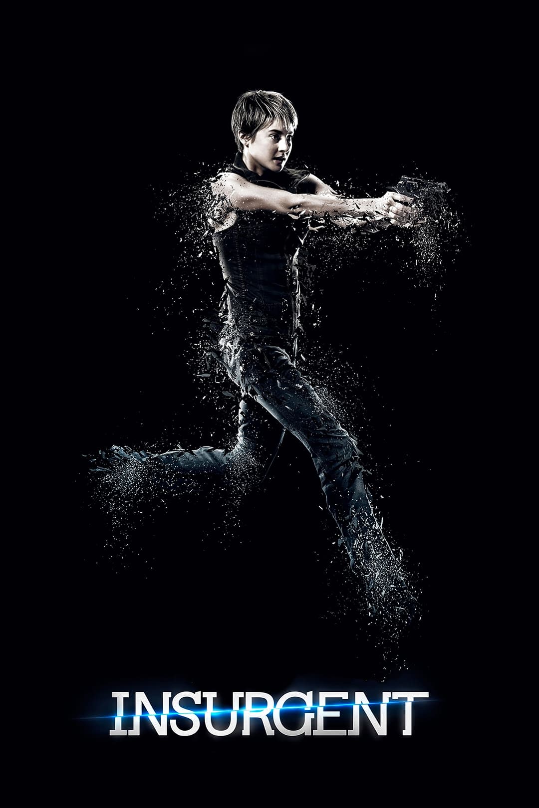 Immagine Insurgent - Poster - Sfondi