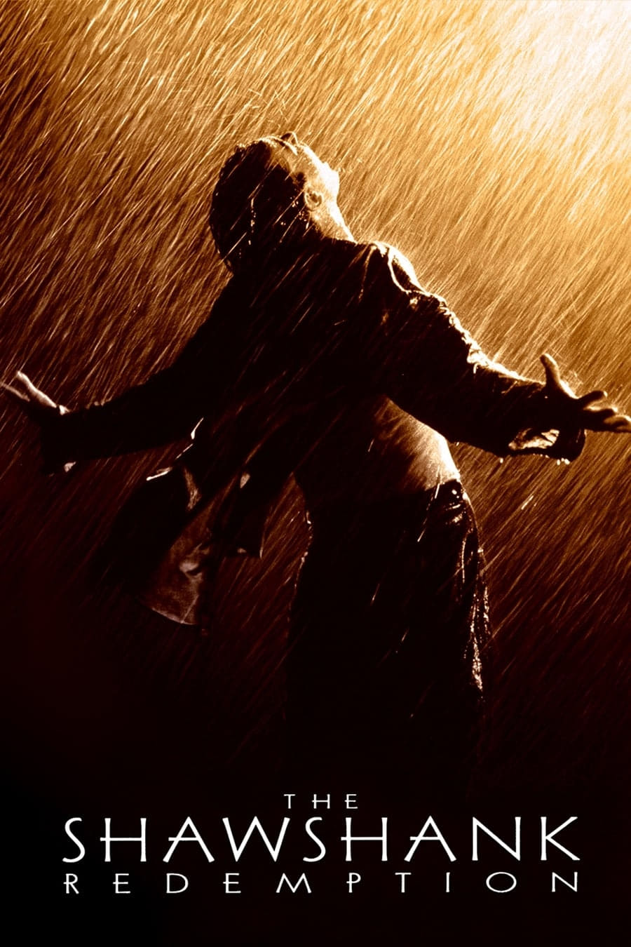 Immagine Le ali della libertà - Poster - Sfondi