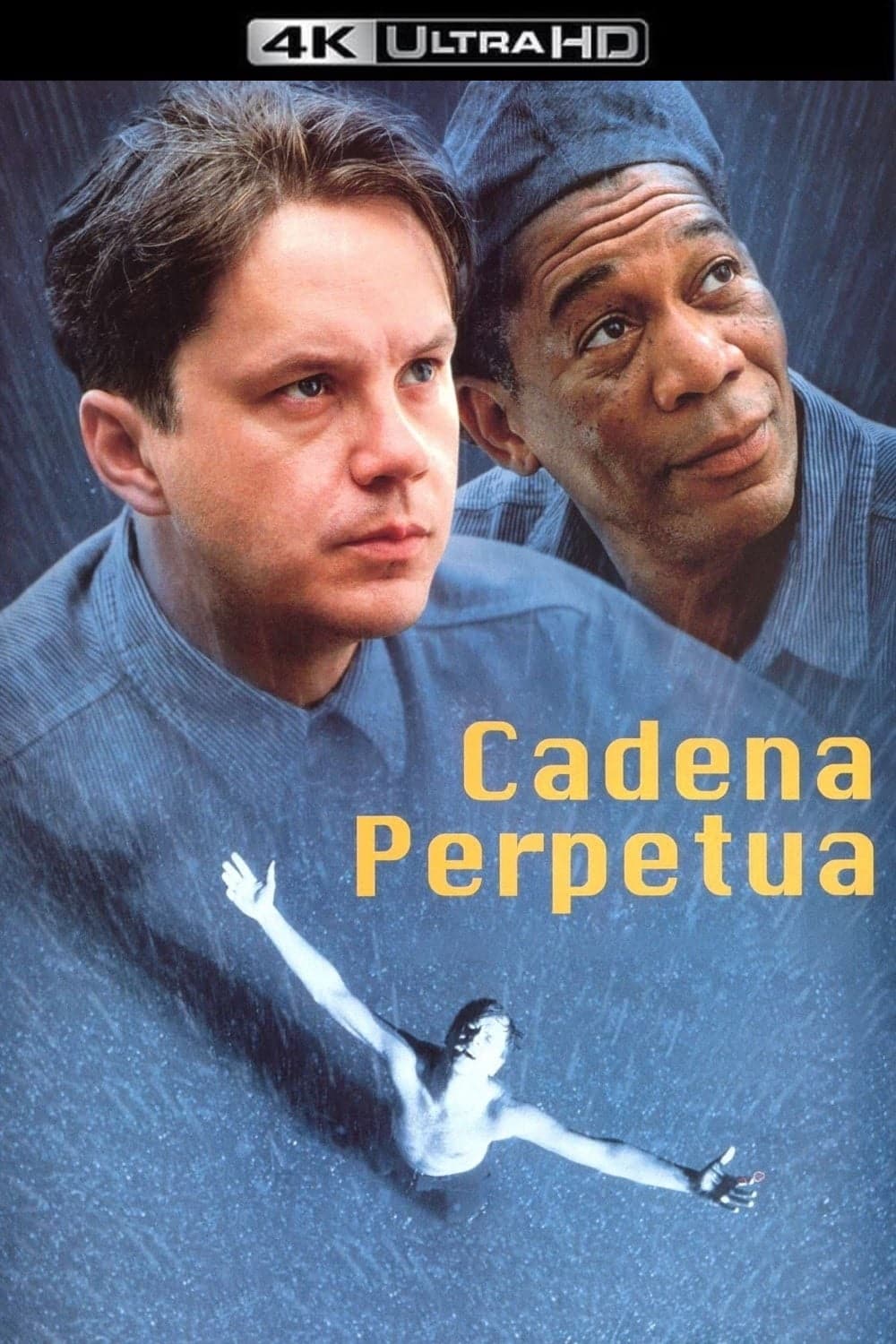 Immagine Le ali della libertà - Poster - Sfondi