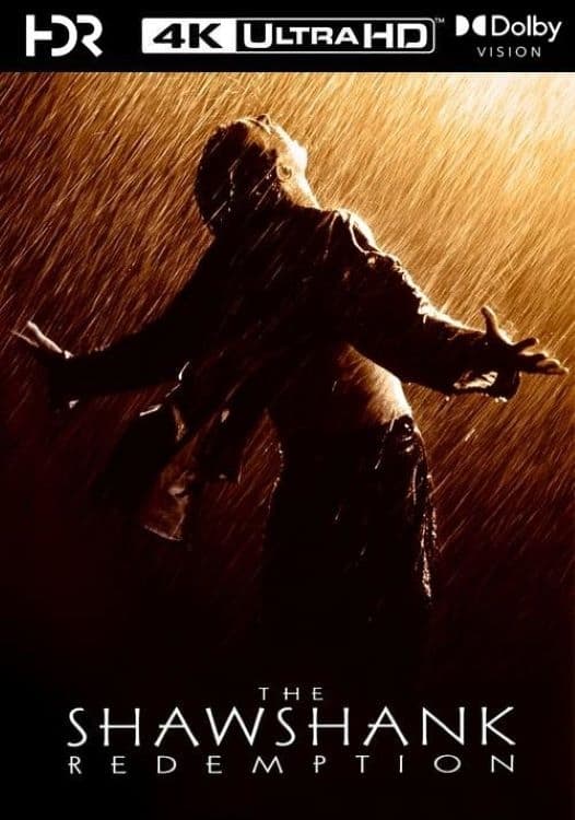 Immagine Le ali della libertà - Poster - Sfondi