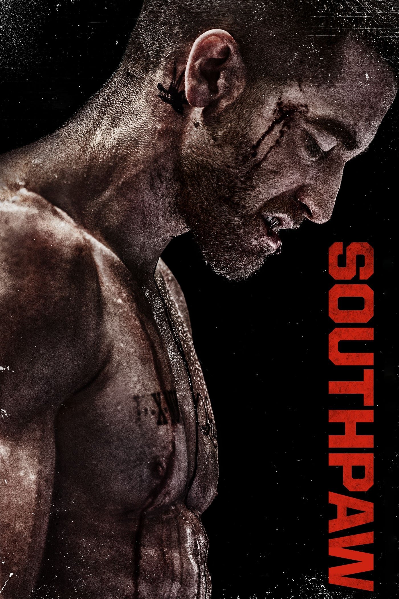 Immagine Southpaw - L'ultima sfida - Poster - Sfondi