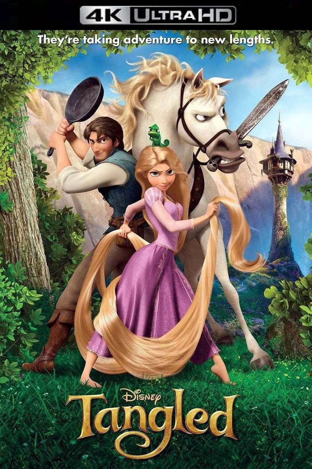 Immagine Rapunzel - L'intreccio della torre - Poster - Sfondi