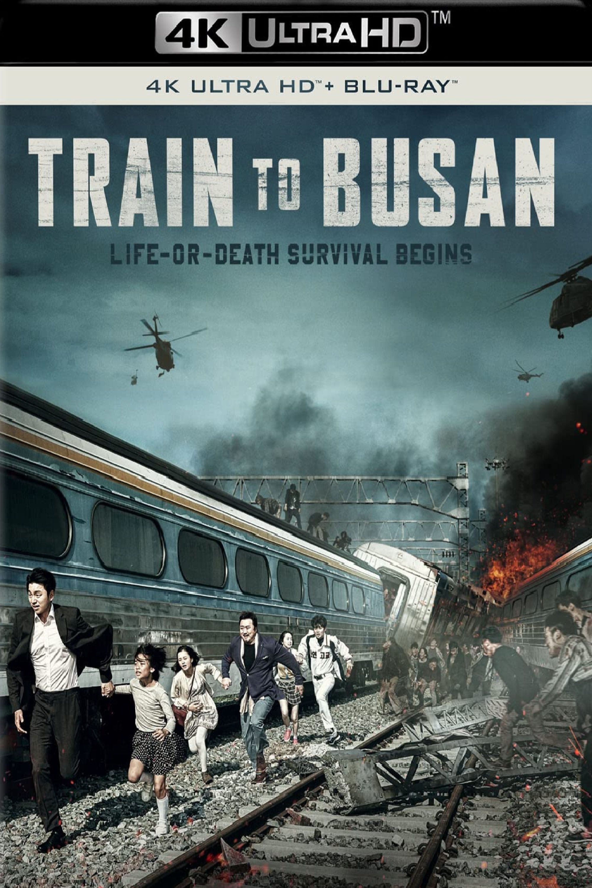 Immagine Train to Busan - Poster - Sfondi