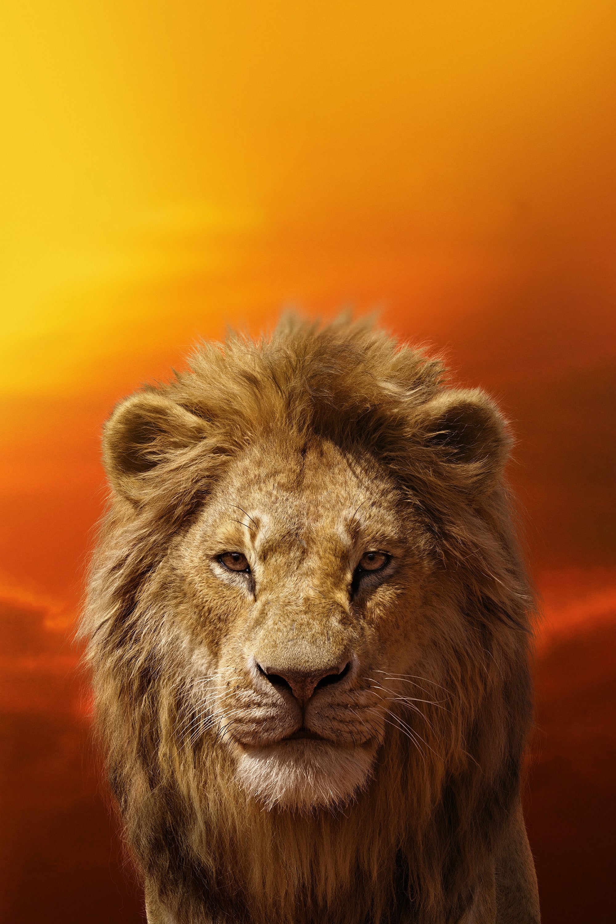 Immagine Il re leone - Poster - Sfondi