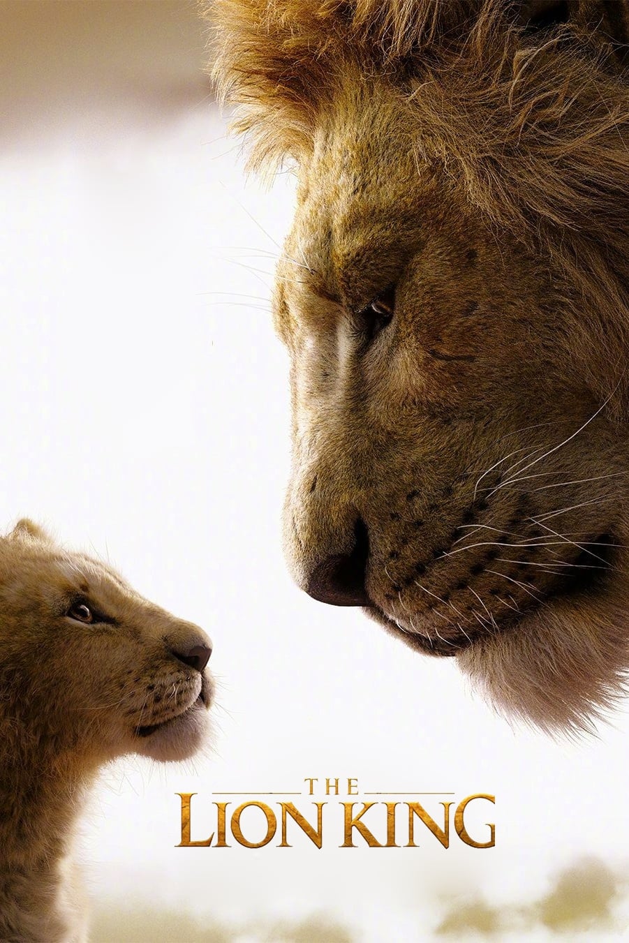 Immagine Il re leone - Poster - Sfondi