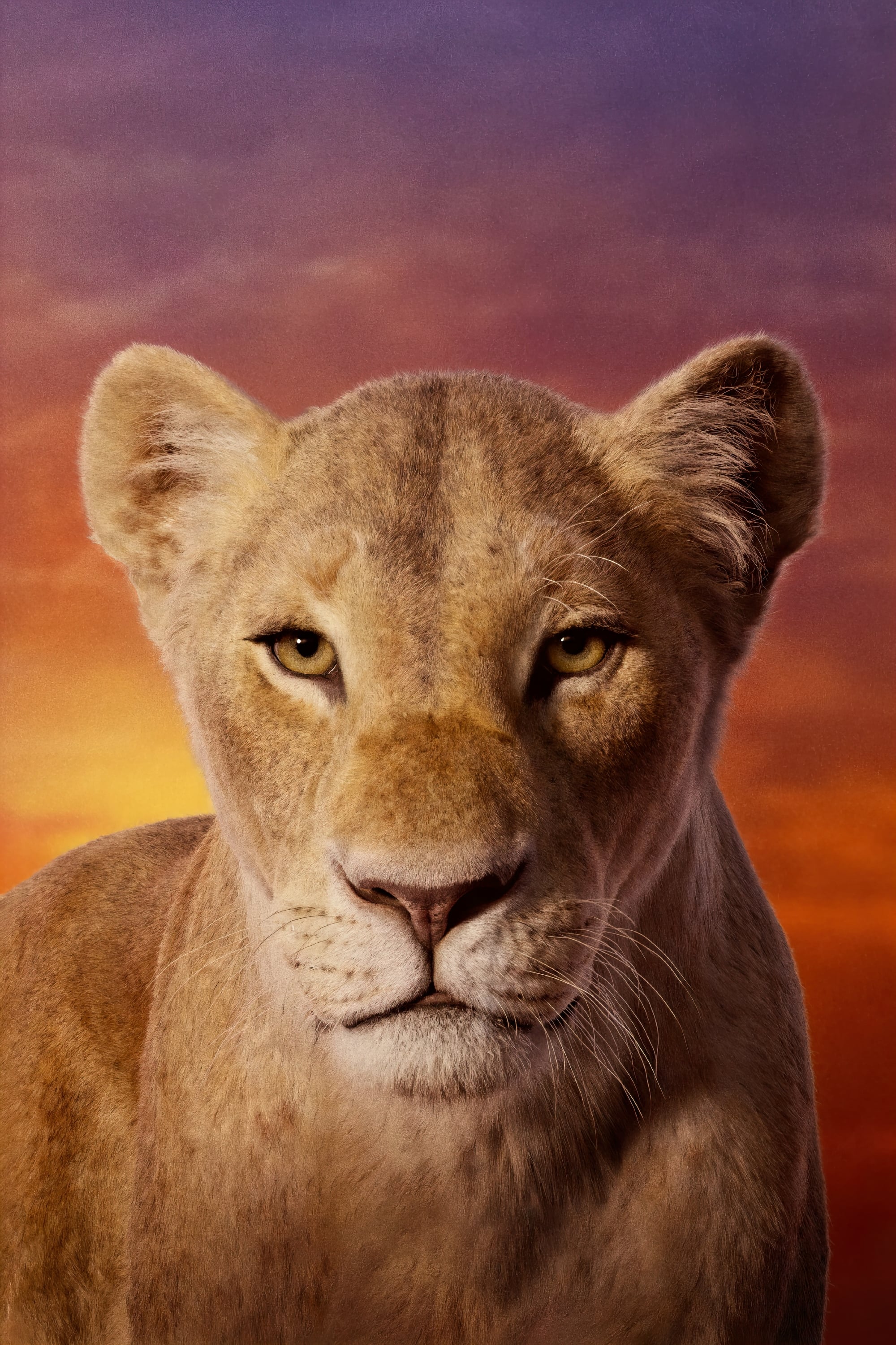 Immagine Il re leone - Poster - Sfondi