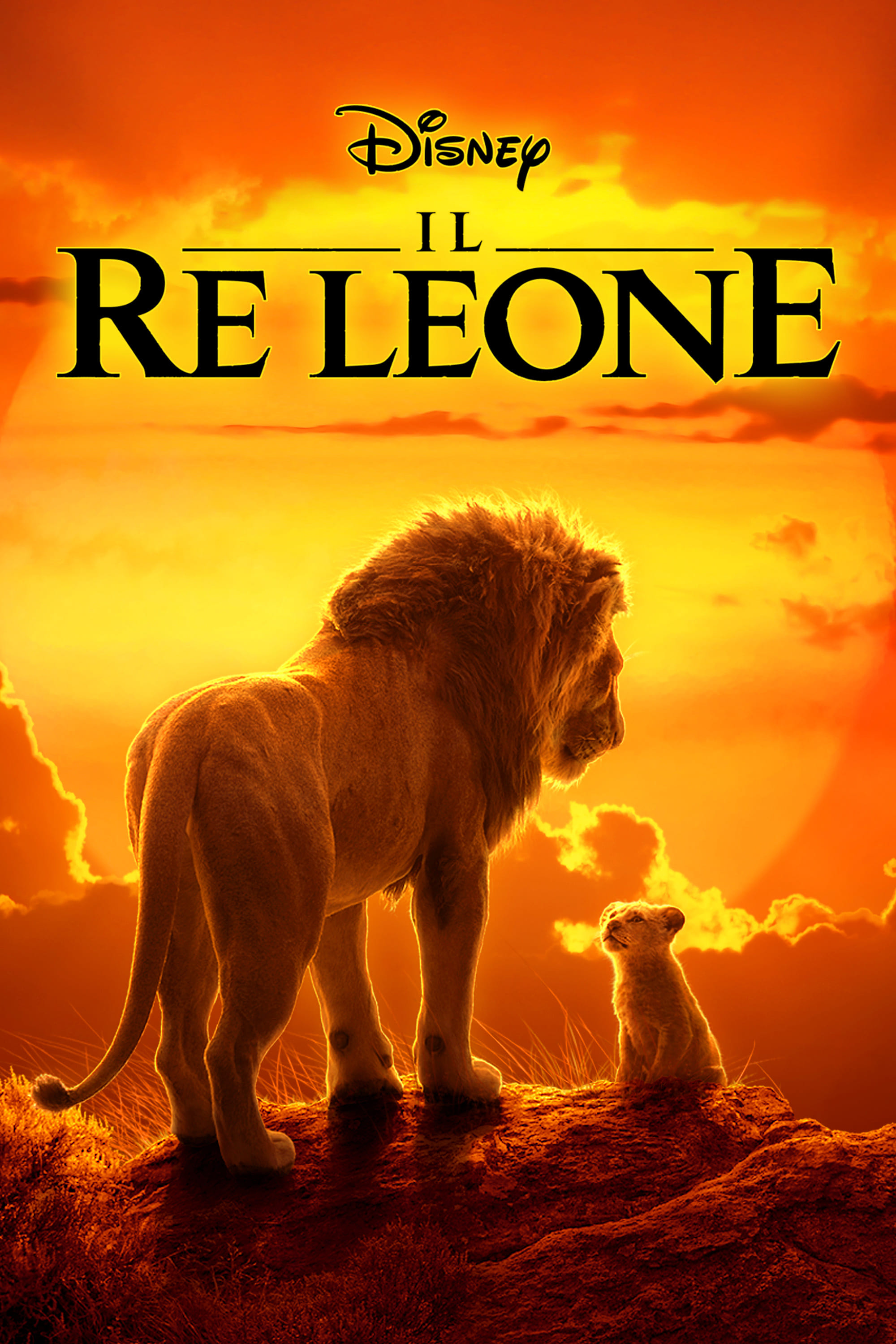 Immagine Il re leone - Poster - Sfondi