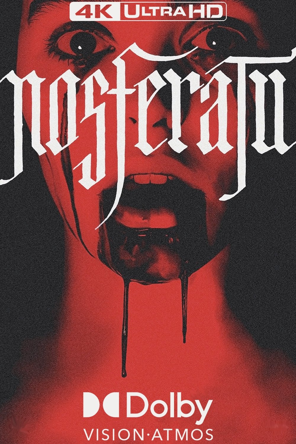 Immagine Nosferatu - Poster - Sfondi