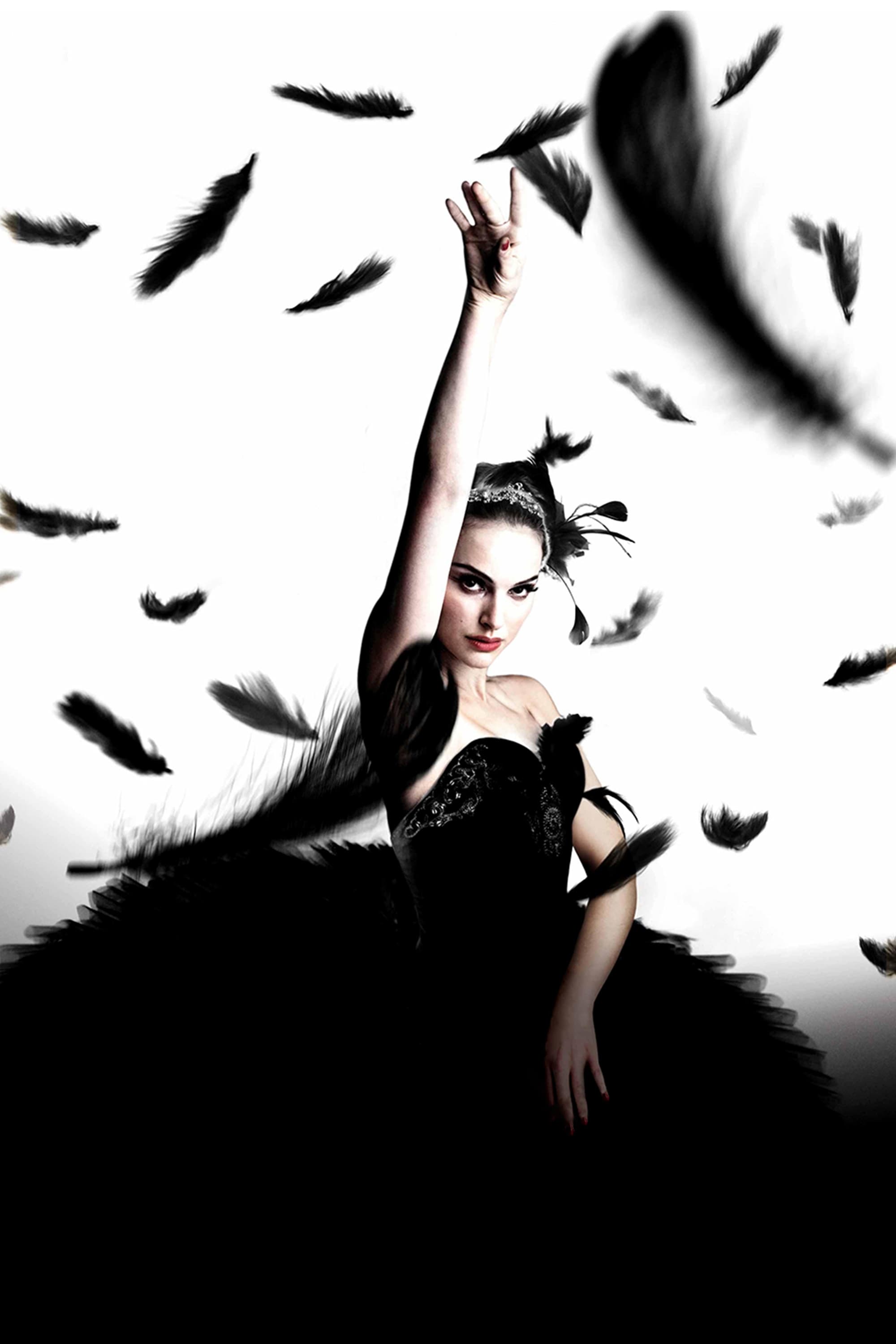 Immagine Il cigno nero - Poster - Sfondi