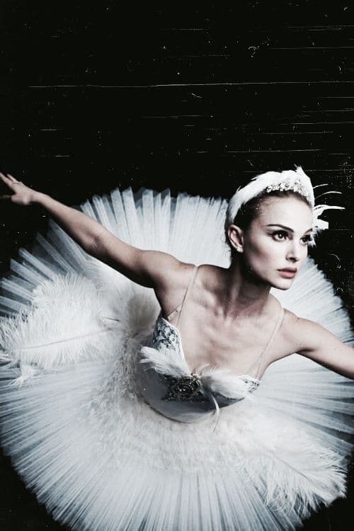 Immagine Il cigno nero - Poster - Sfondi