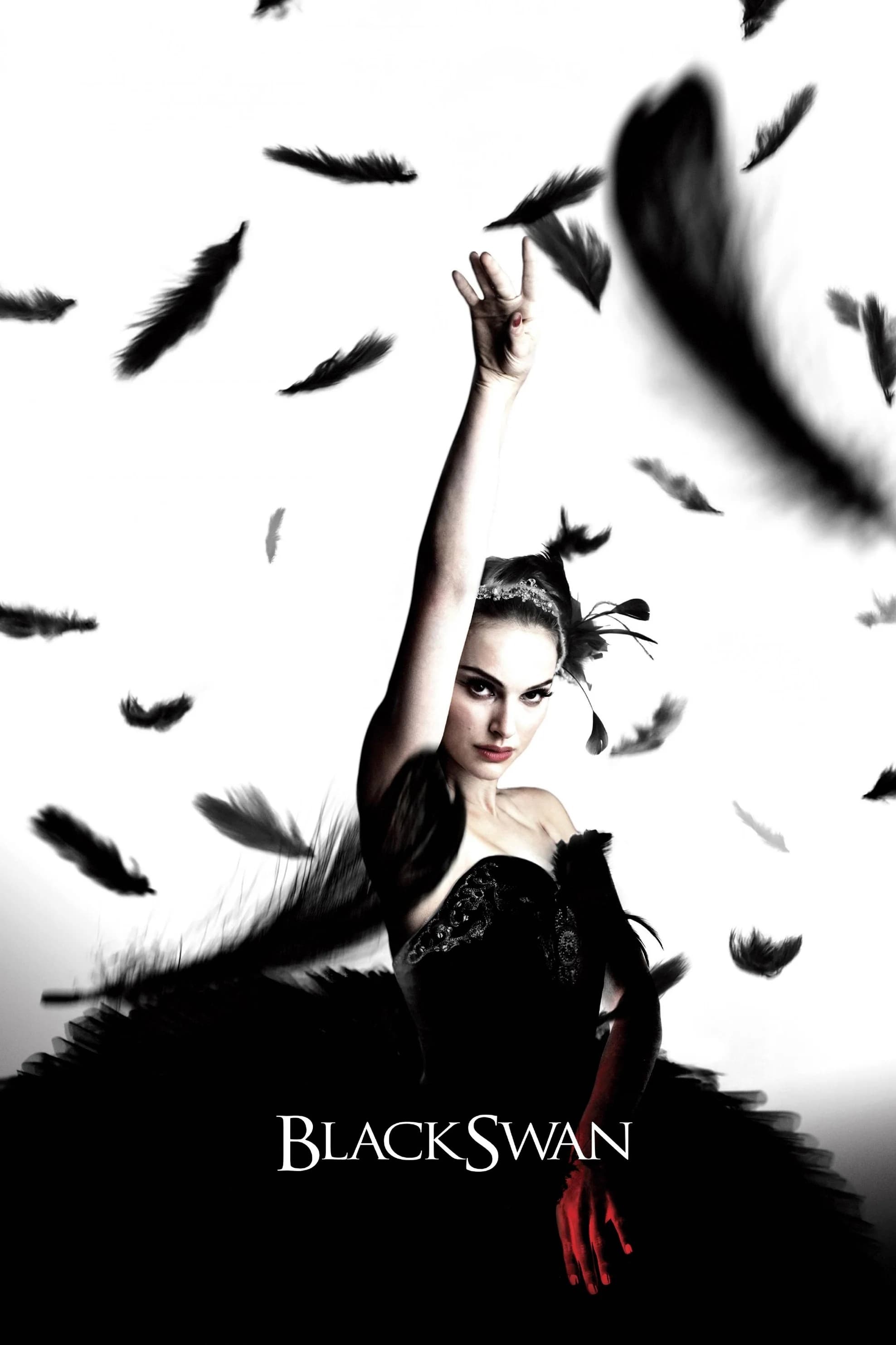 Immagine Il cigno nero - Poster - Sfondi