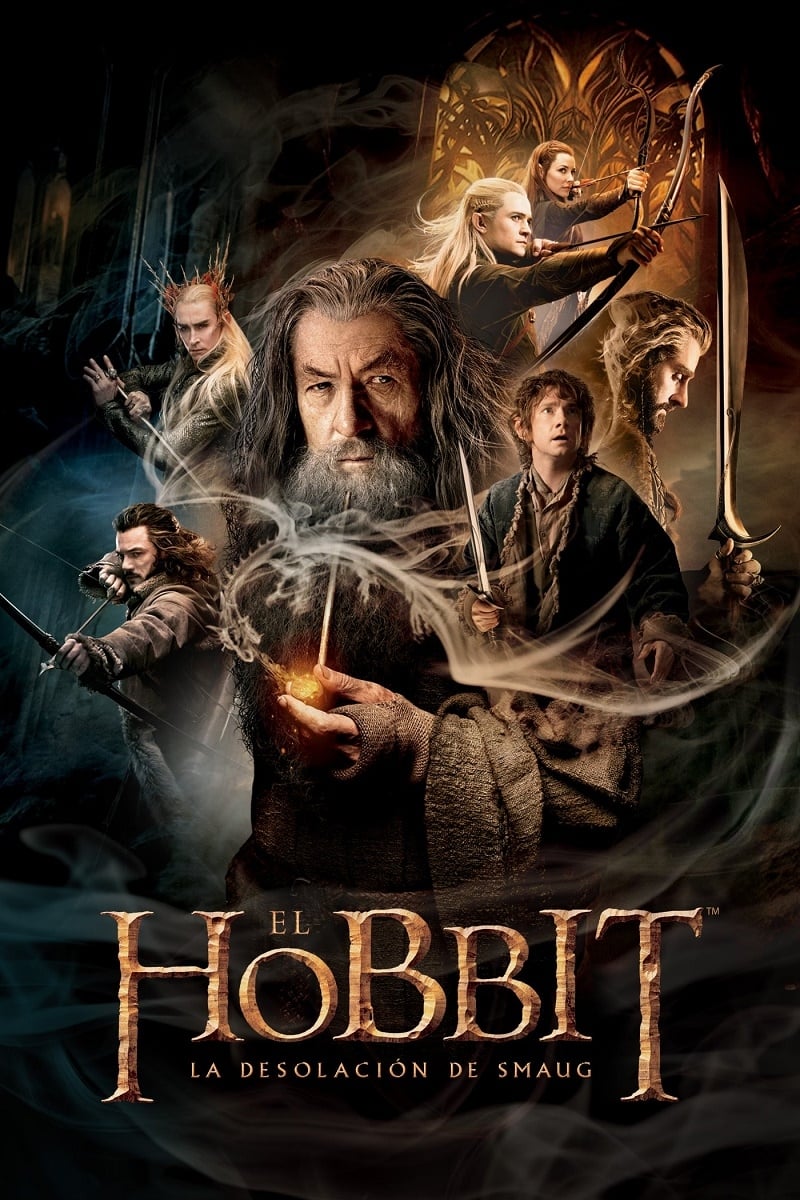Immagine Lo Hobbit: La desolazione di Smaug - Poster - Sfondi