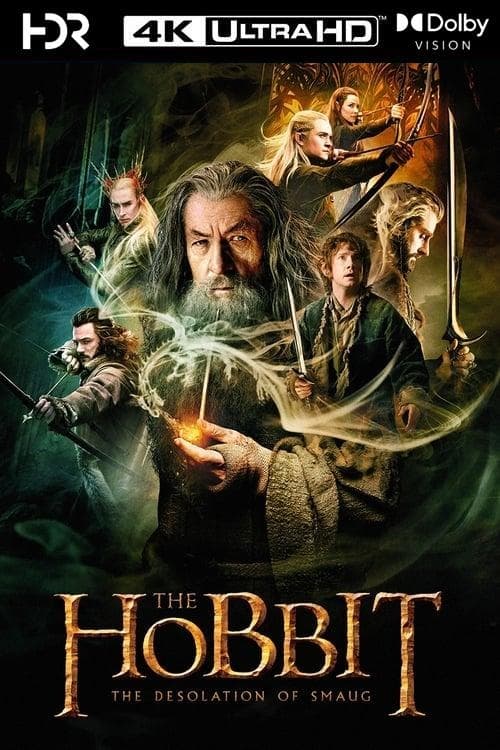 Immagine Lo Hobbit: La desolazione di Smaug - Poster - Sfondi
