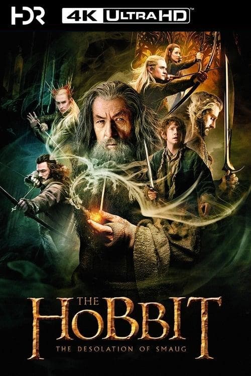 Immagine Lo Hobbit: La desolazione di Smaug - Poster - Sfondi