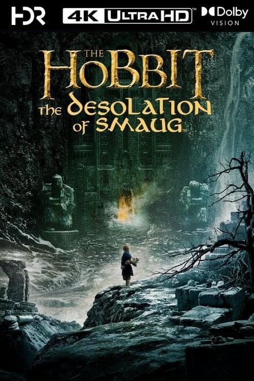 Immagine Lo Hobbit: La desolazione di Smaug - Poster - Sfondi
