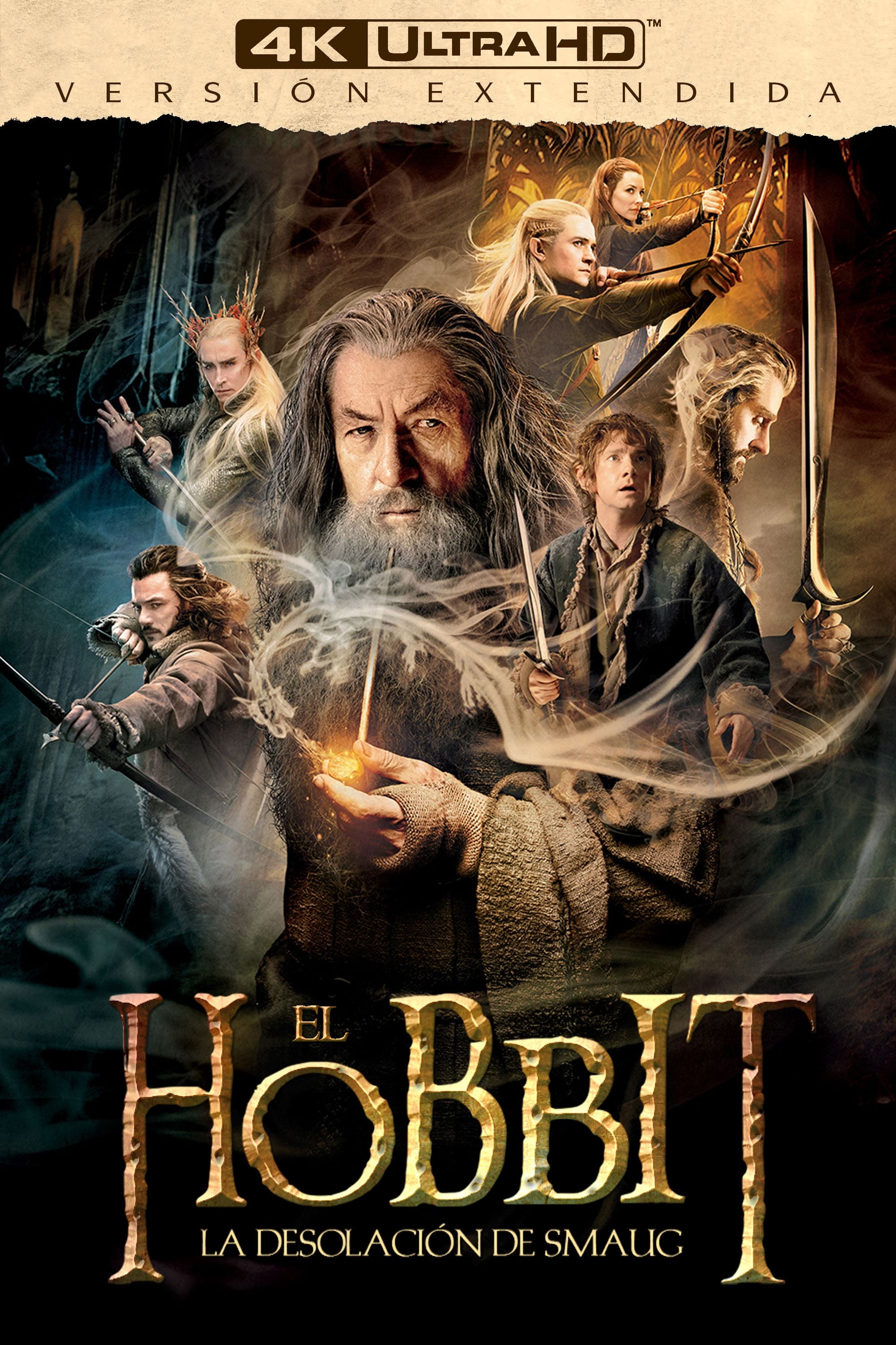Immagine Lo Hobbit: La desolazione di Smaug - Poster - Sfondi