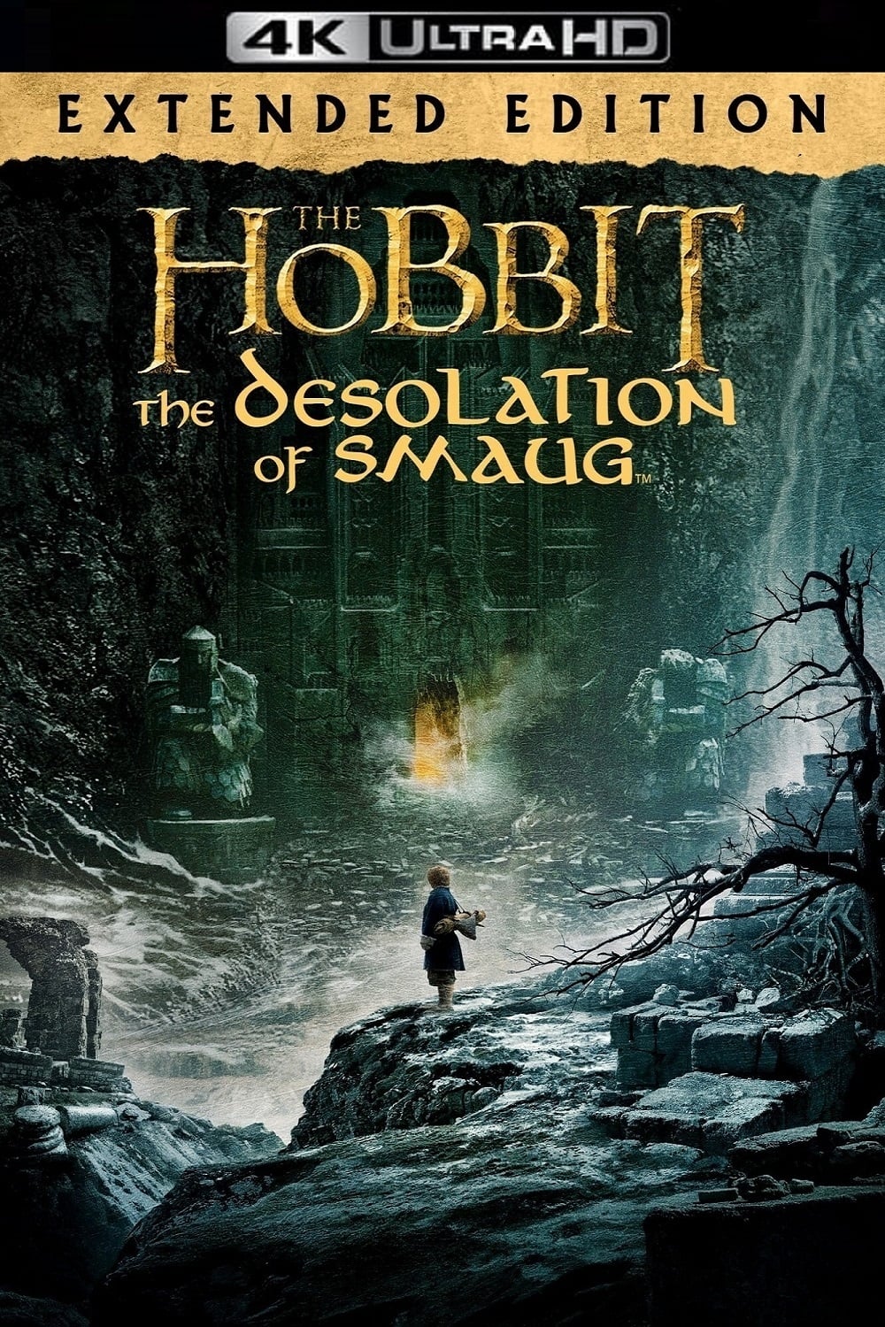 Immagine Lo Hobbit: La desolazione di Smaug - Poster - Sfondi