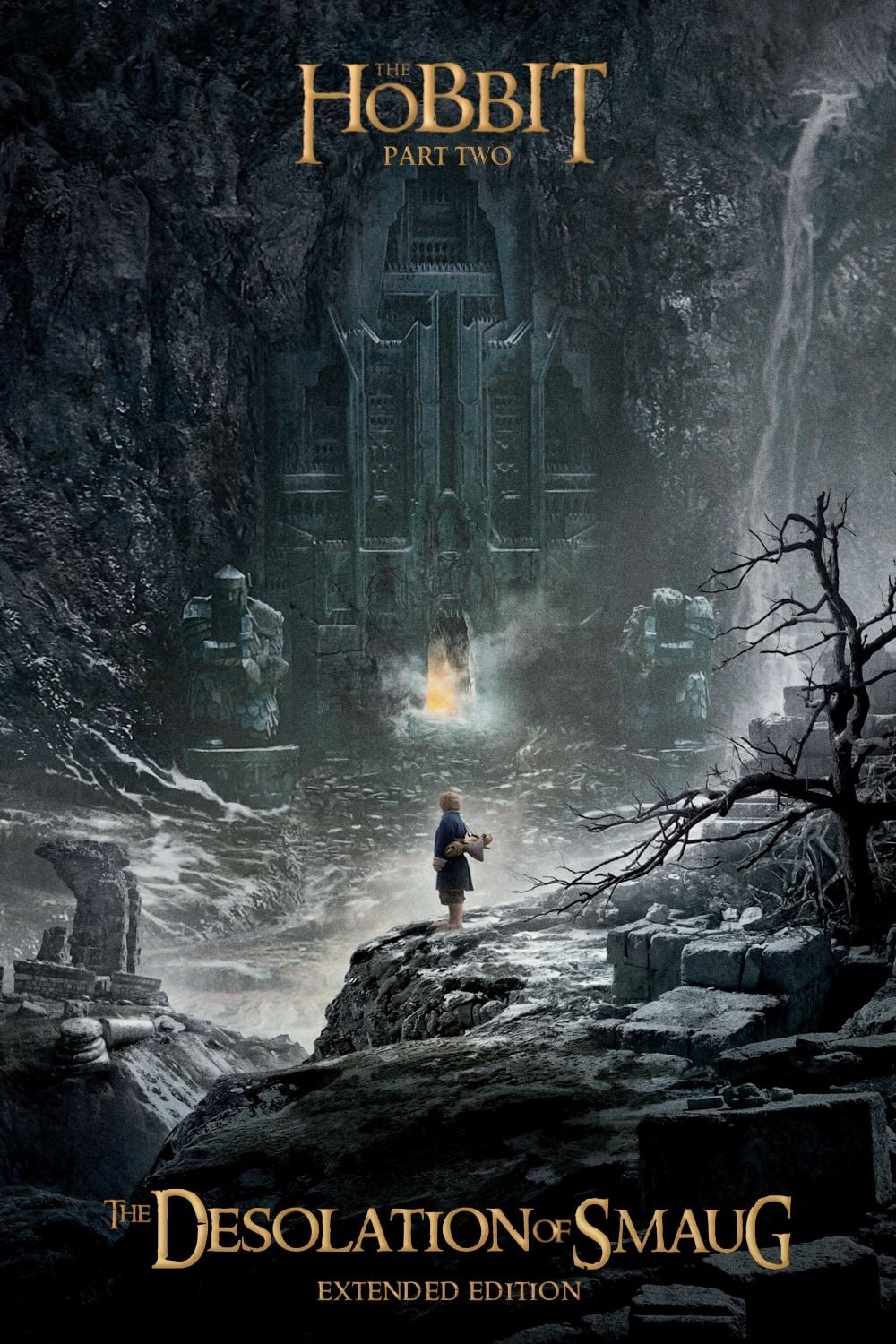 Immagine Lo Hobbit: La desolazione di Smaug - Poster - Sfondi