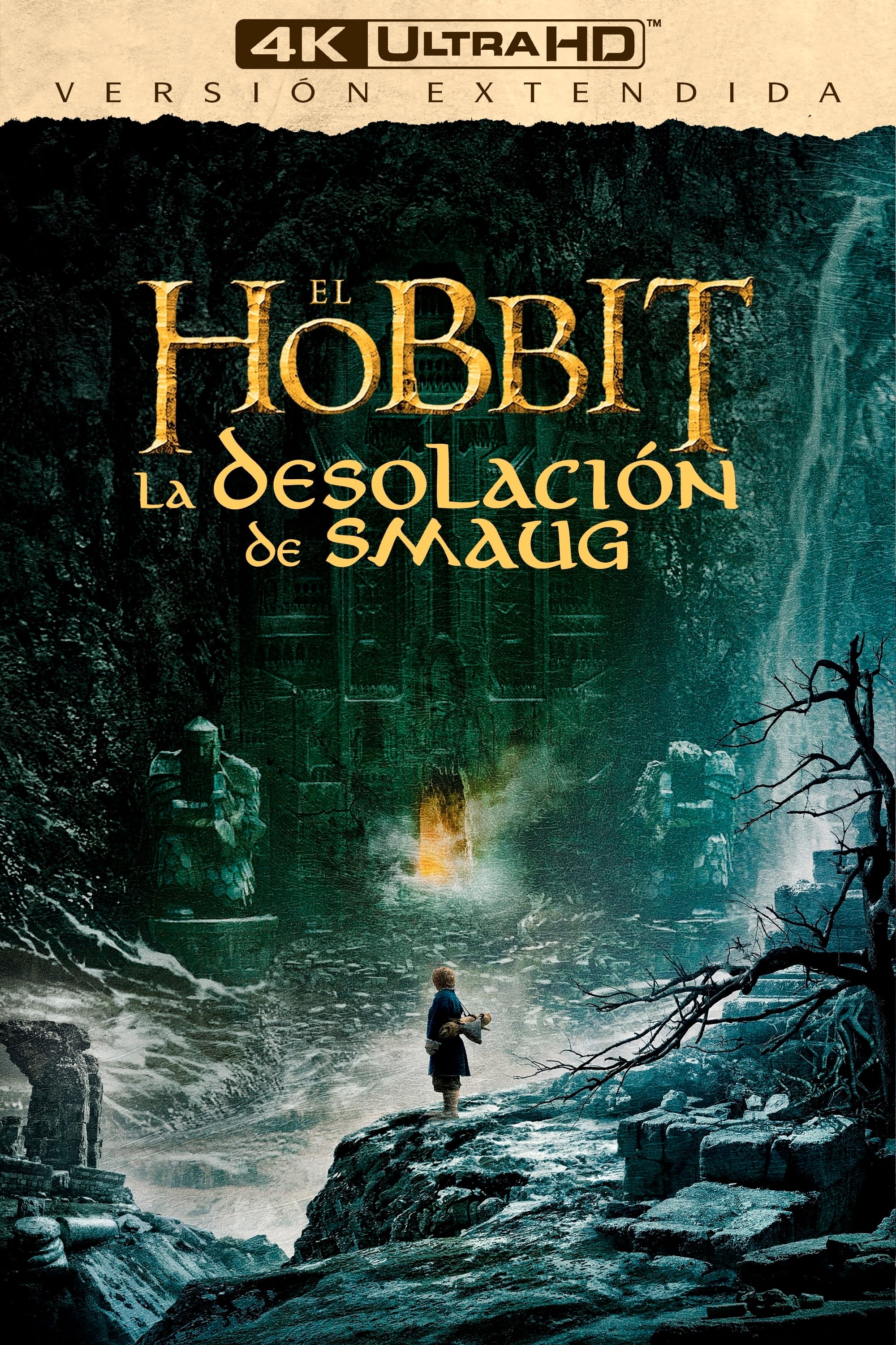 Immagine Lo Hobbit: La desolazione di Smaug - Poster - Sfondi