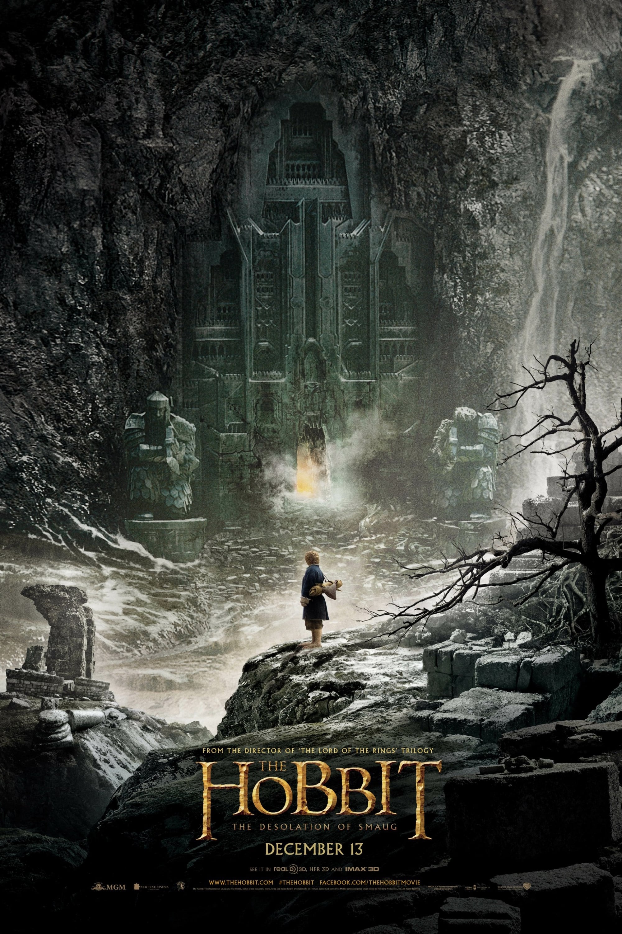 Immagine Lo Hobbit: La desolazione di Smaug - Poster - Sfondi