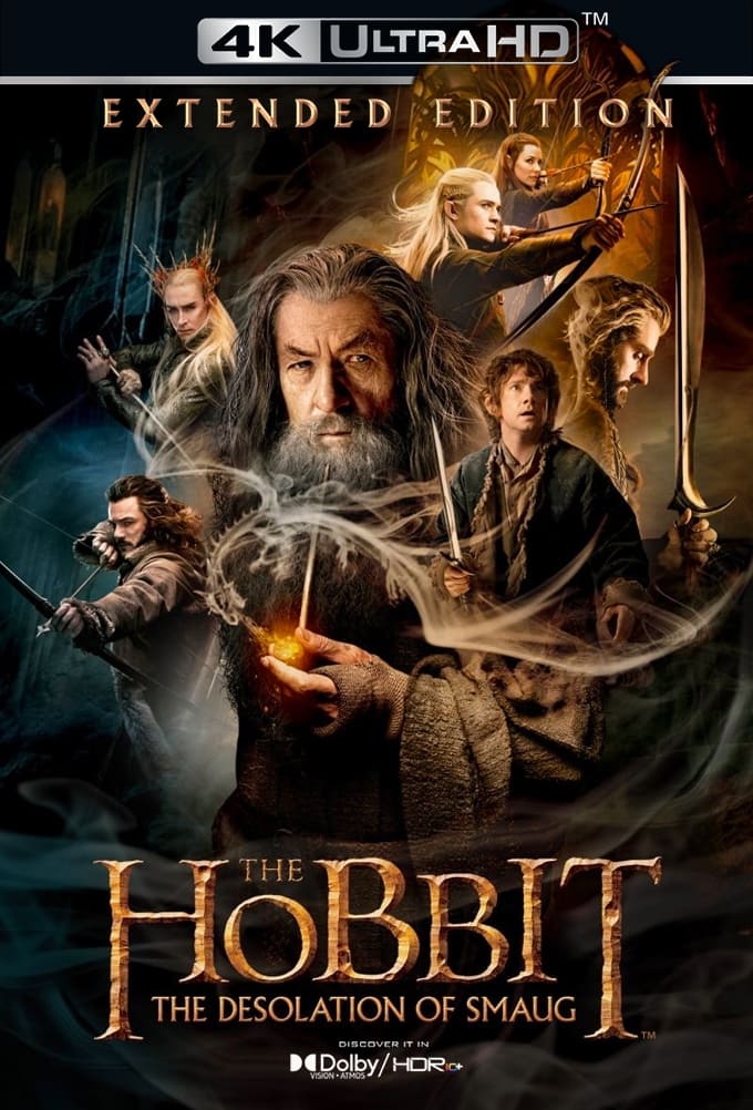 Immagine Lo Hobbit: La desolazione di Smaug - Poster - Sfondi