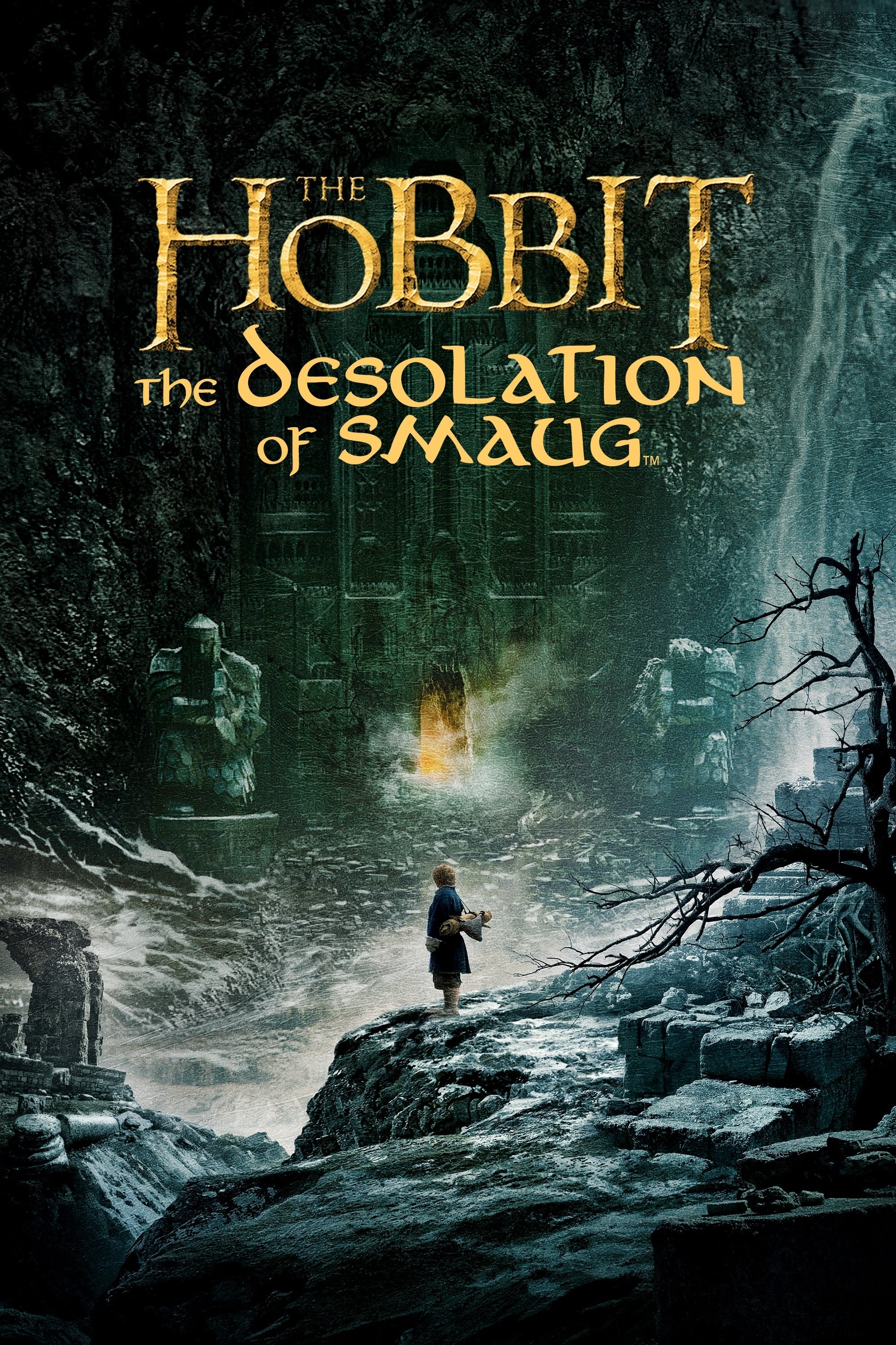 Immagine Lo Hobbit: La desolazione di Smaug - Poster - Sfondi