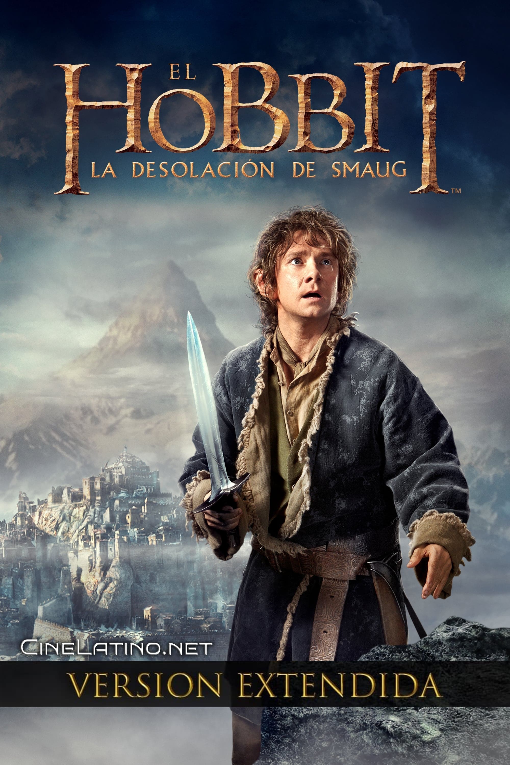 Immagine Lo Hobbit: La desolazione di Smaug - Poster - Sfondi