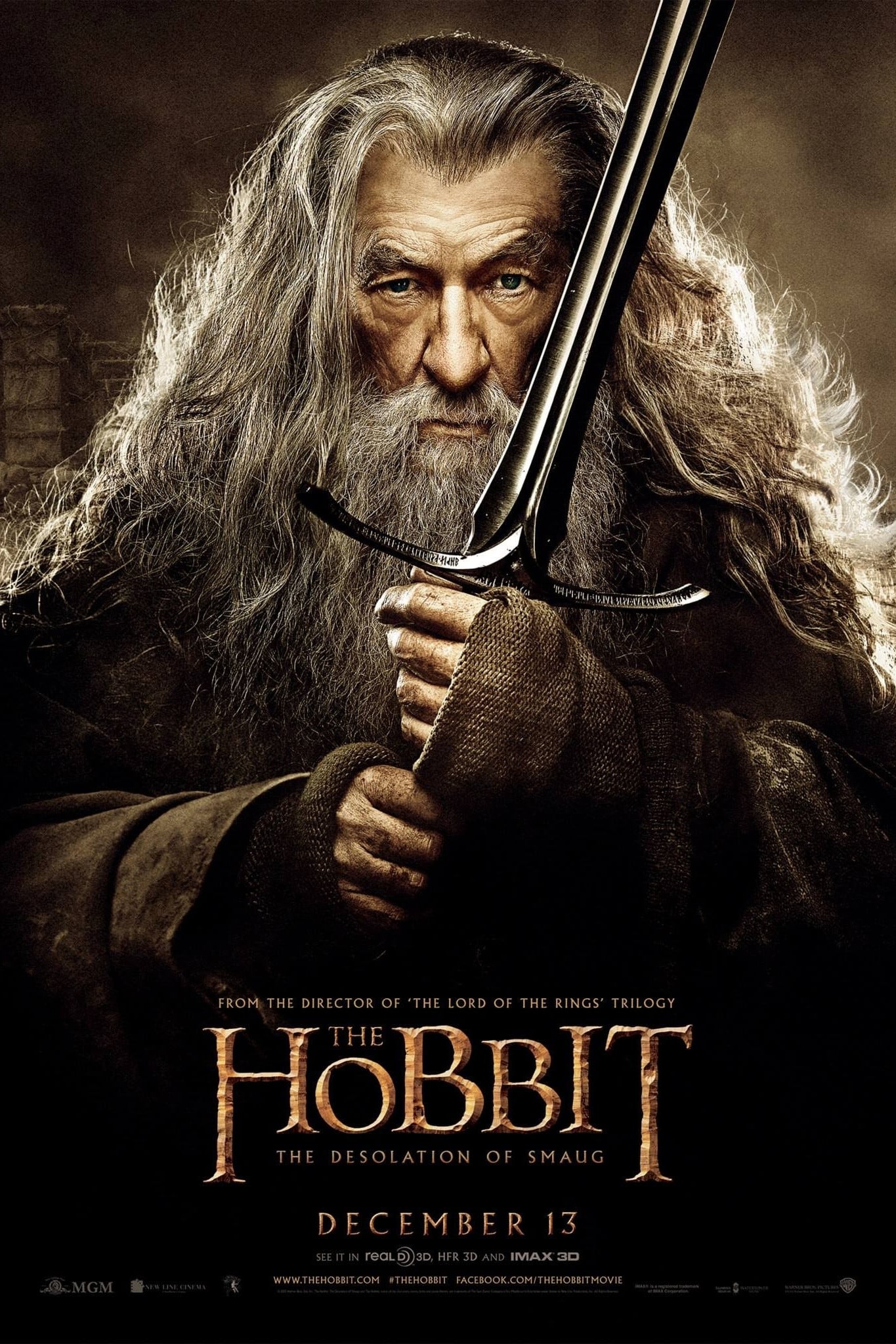 Immagine Lo Hobbit: La desolazione di Smaug - Poster - Sfondi