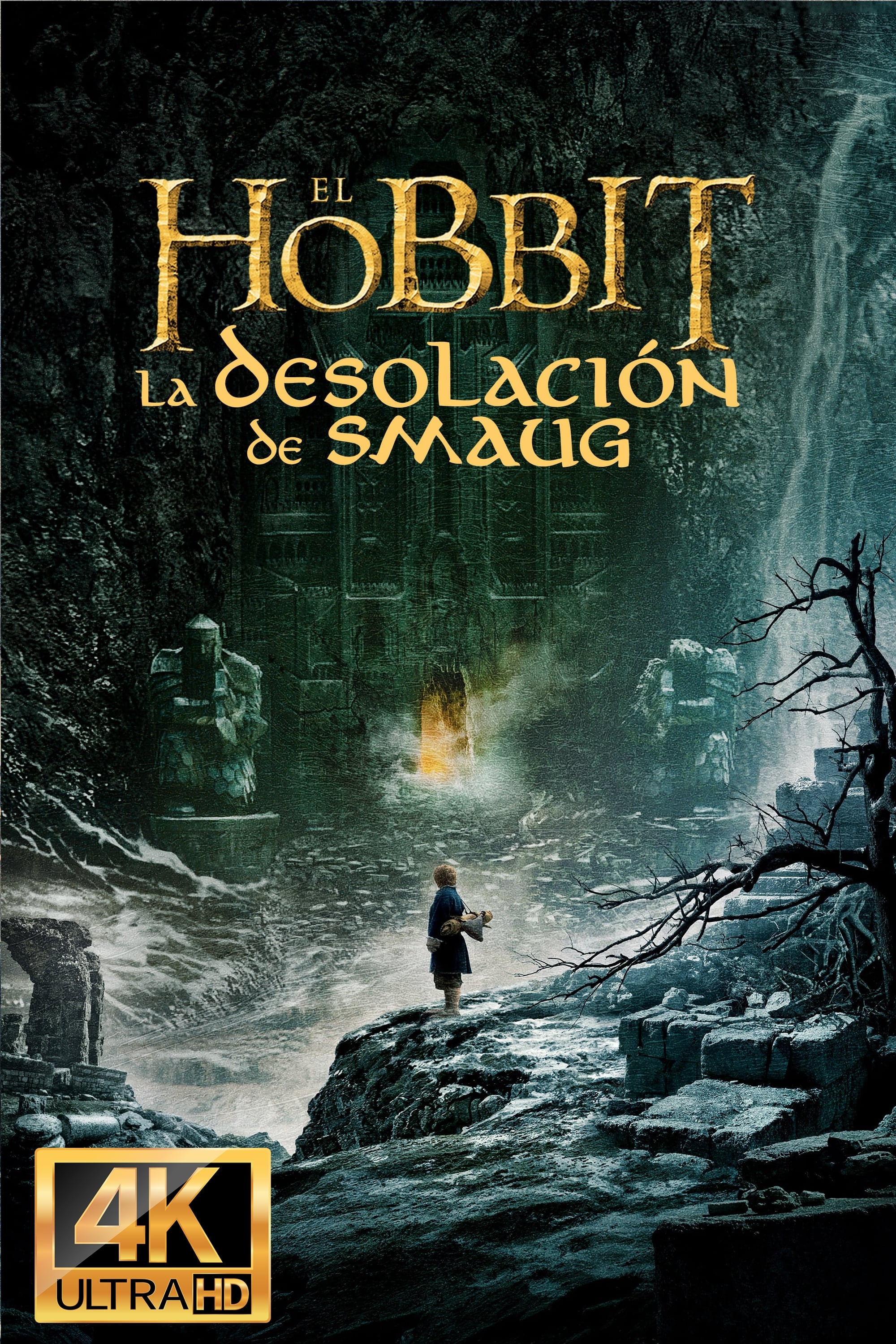 Immagine Lo Hobbit: La desolazione di Smaug - Poster - Sfondi
