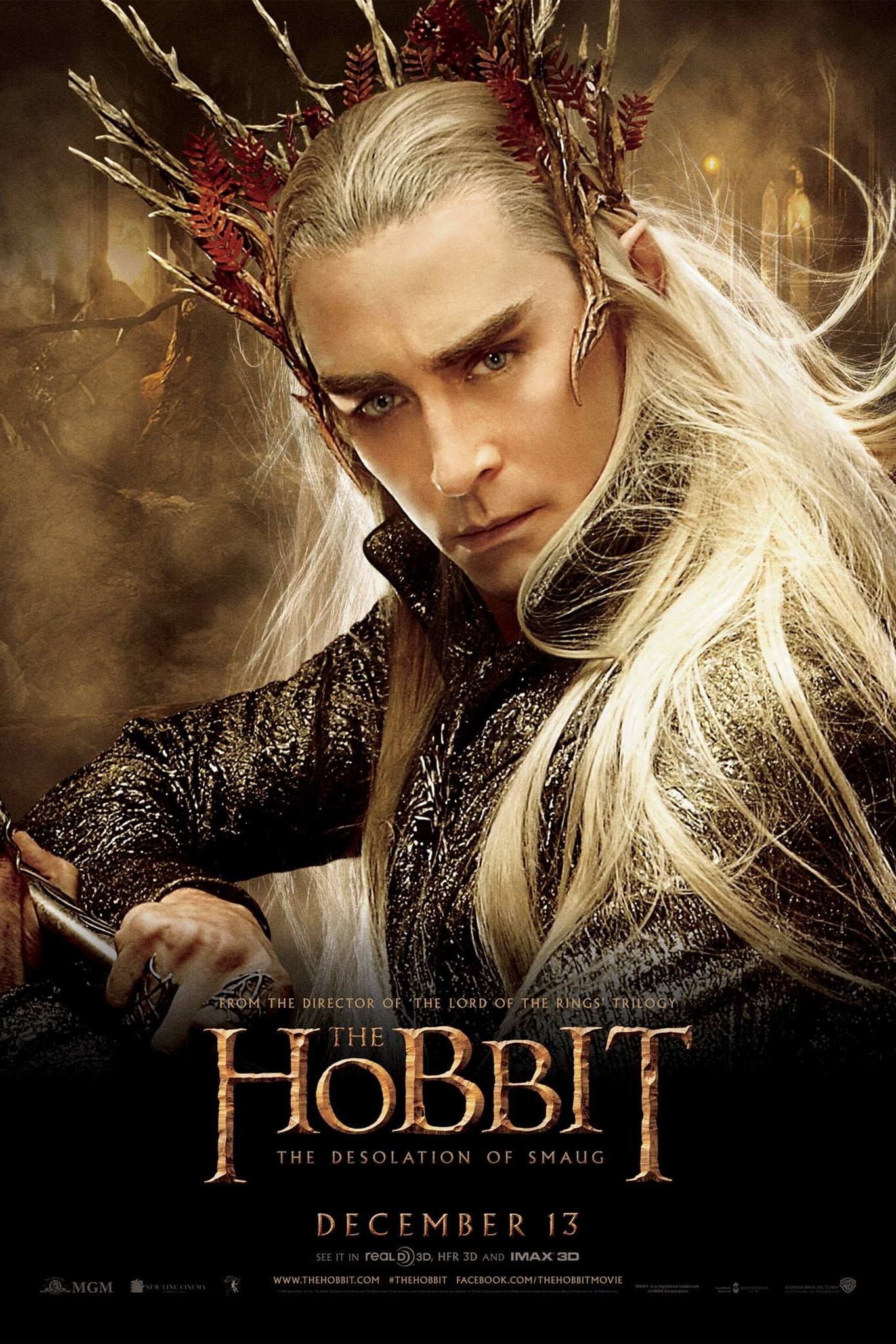 Immagine Lo Hobbit: La desolazione di Smaug - Poster - Sfondi
