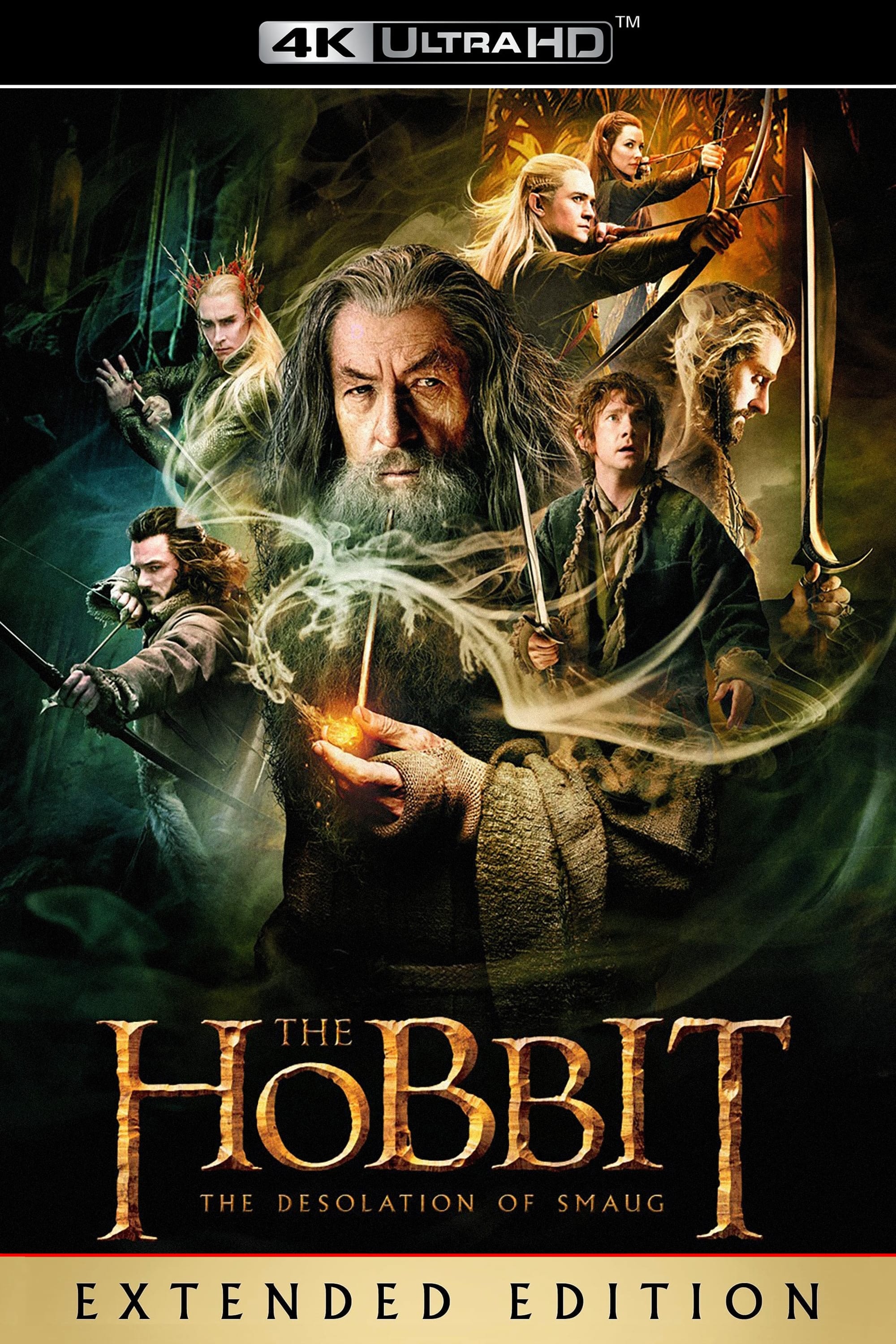 Immagine Lo Hobbit: La desolazione di Smaug - Poster - Sfondi