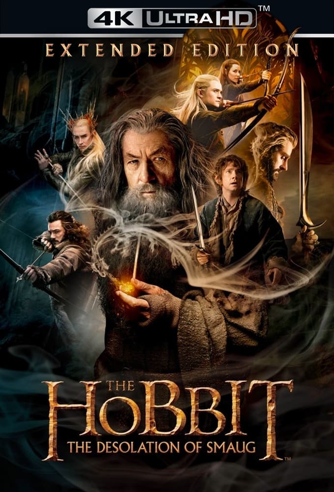 Immagine Lo Hobbit: La desolazione di Smaug - Poster - Sfondi