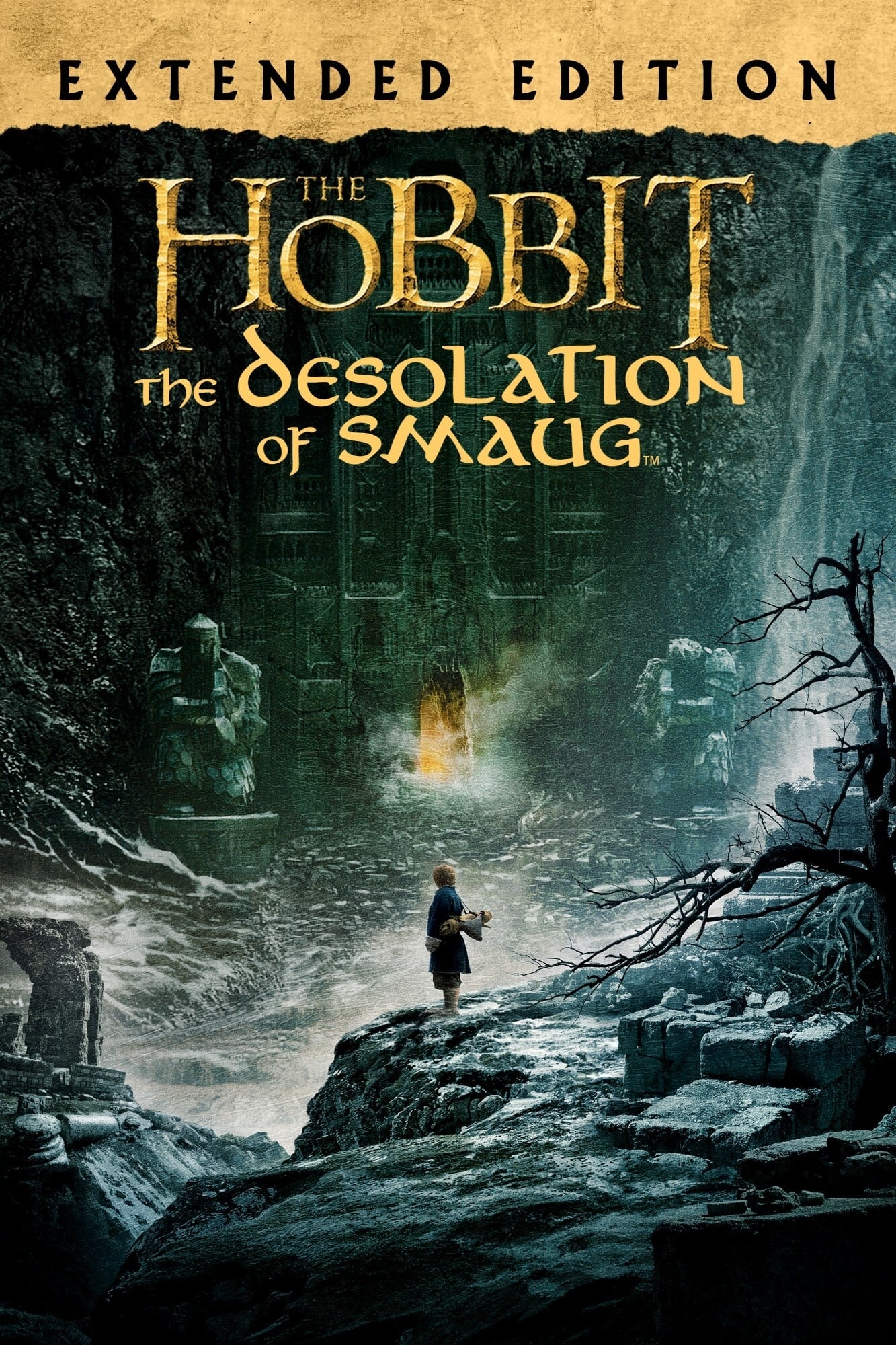 Immagine Lo Hobbit: La desolazione di Smaug - Poster - Sfondi