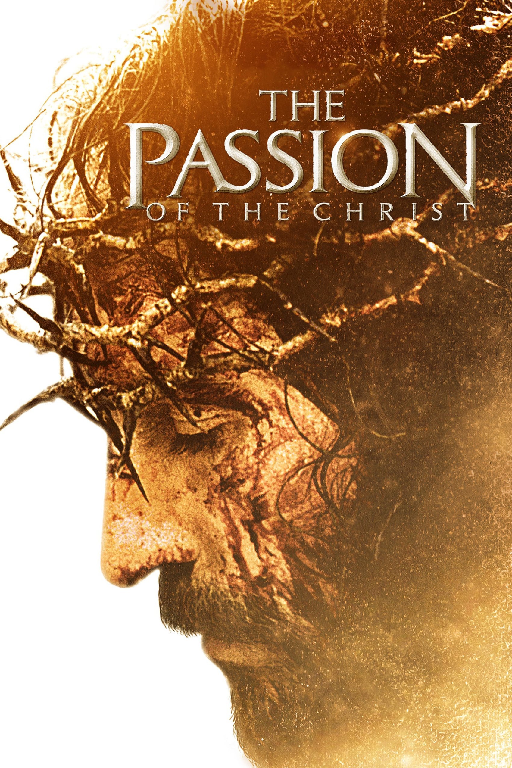 Immagine La passione di Cristo - Poster - Sfondi