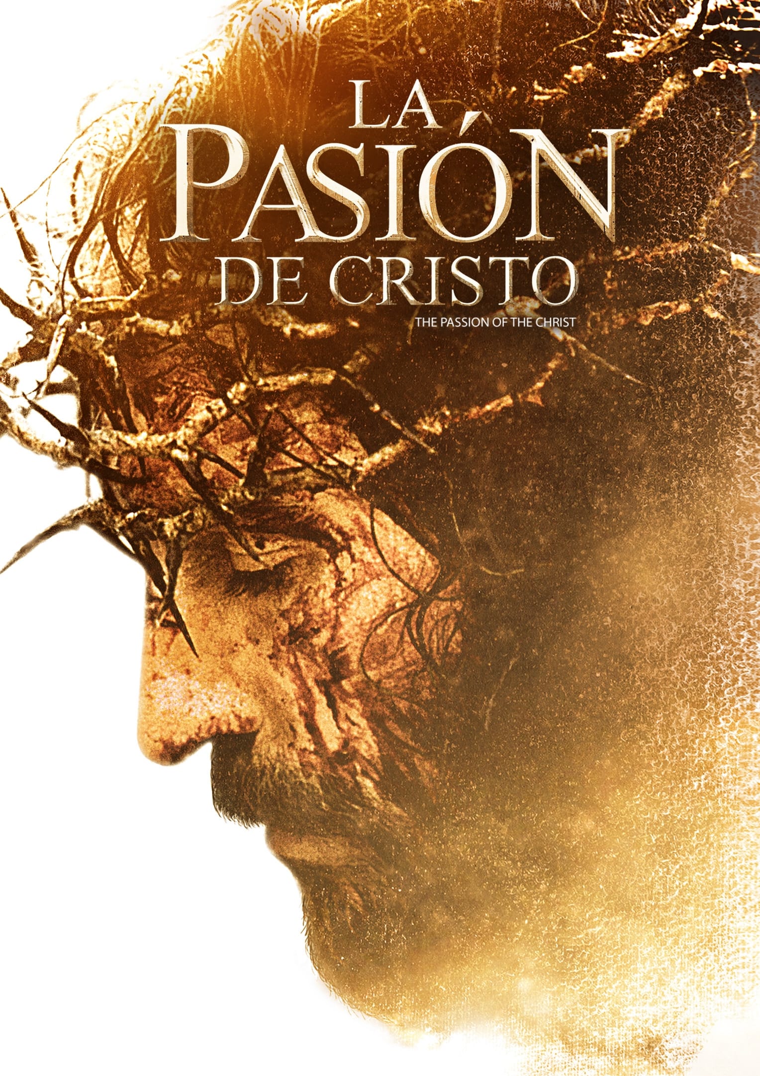Immagine La passione di Cristo - Poster - Sfondi