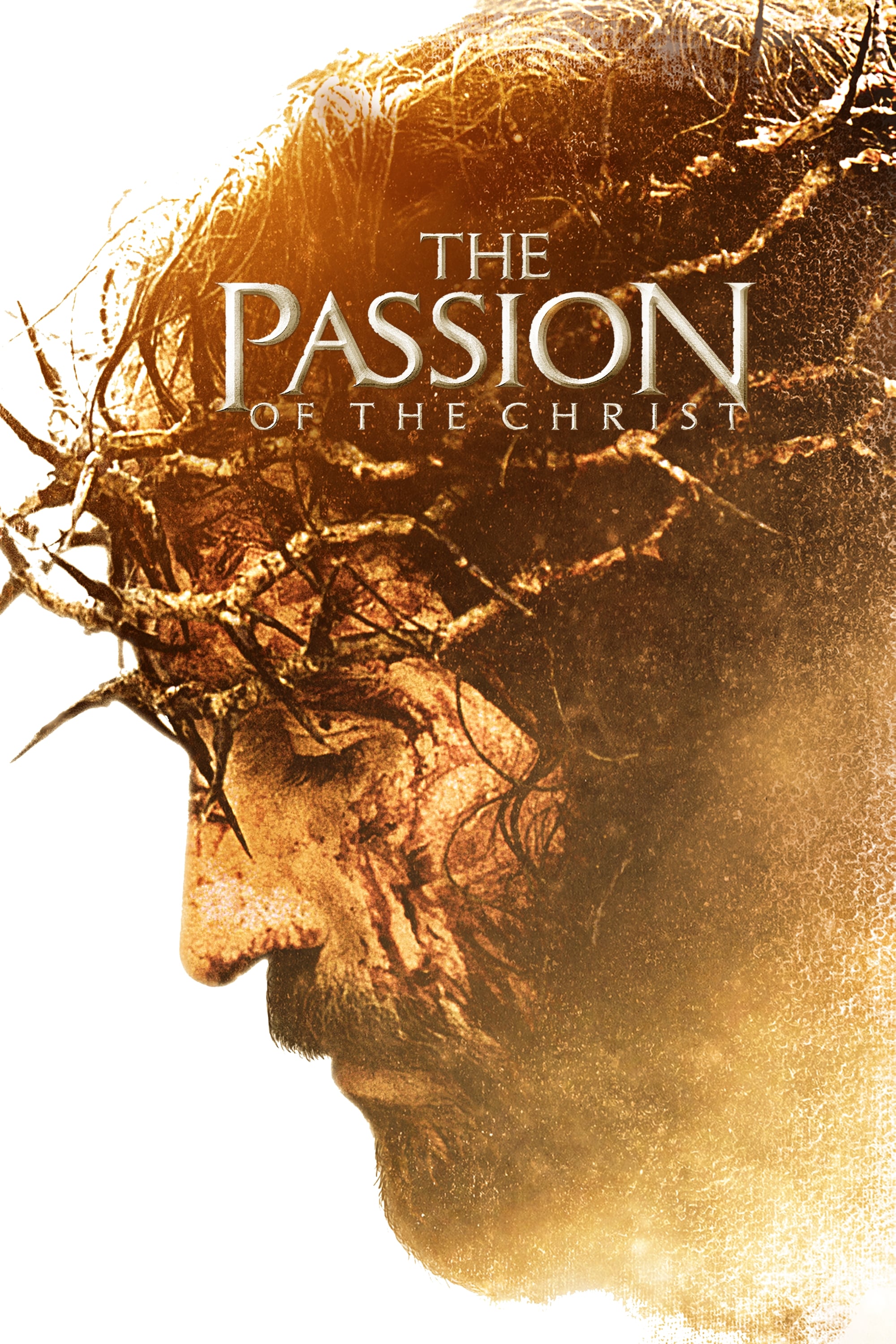 Immagine La passione di Cristo - Poster - Sfondi