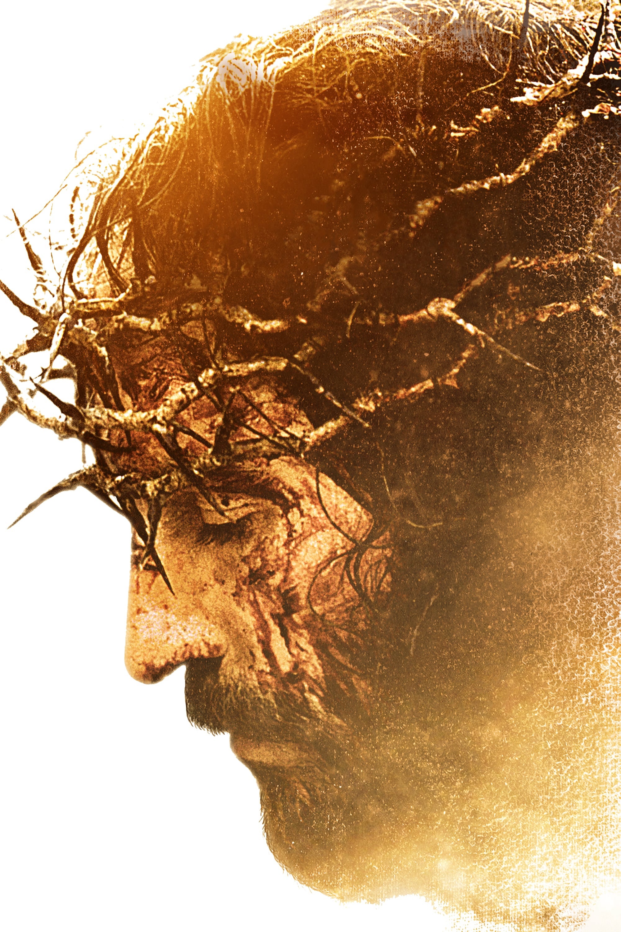 Immagine La passione di Cristo - Poster - Sfondi