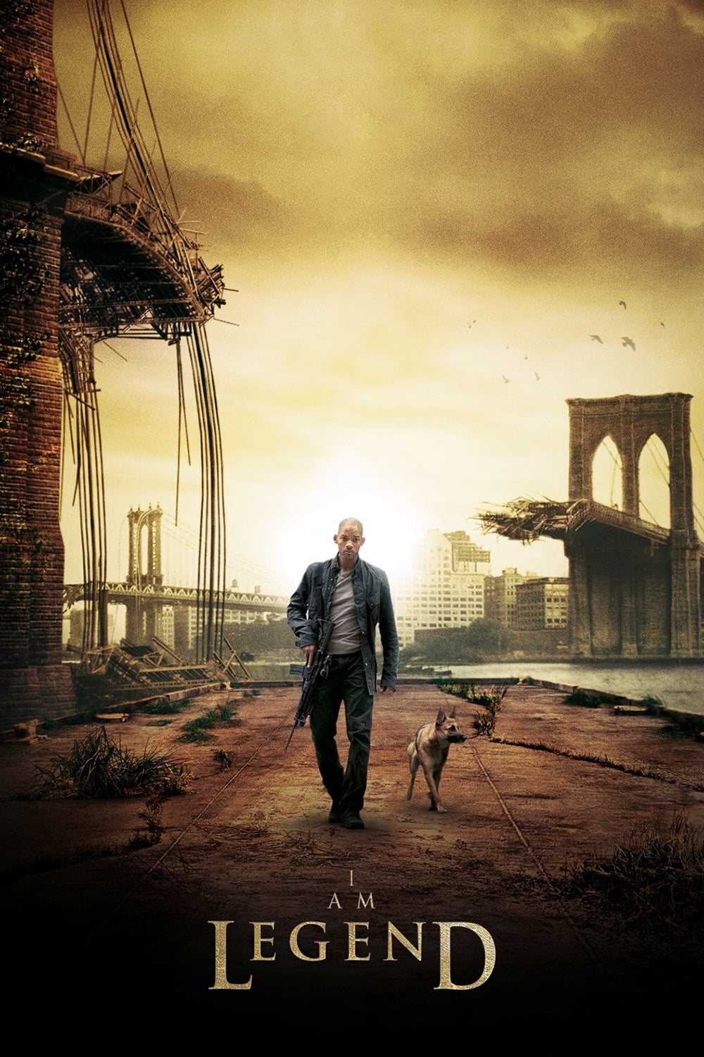 Immagine Io sono leggenda - Poster - Sfondi