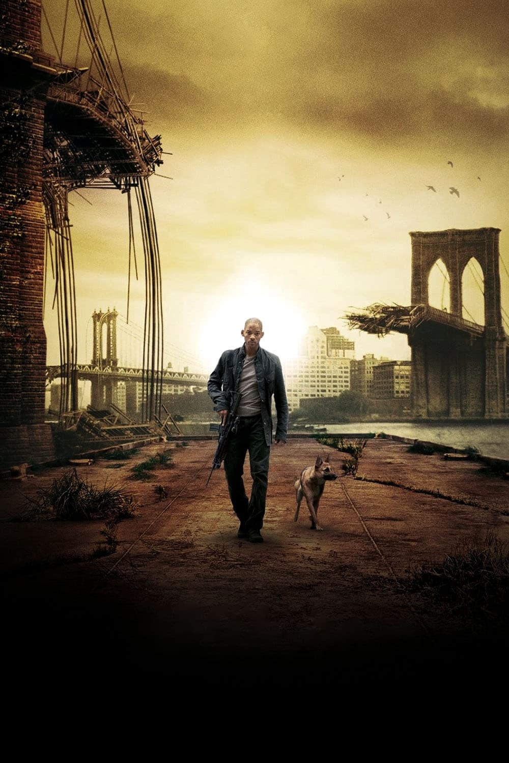 Immagine Io sono leggenda - Poster - Sfondi