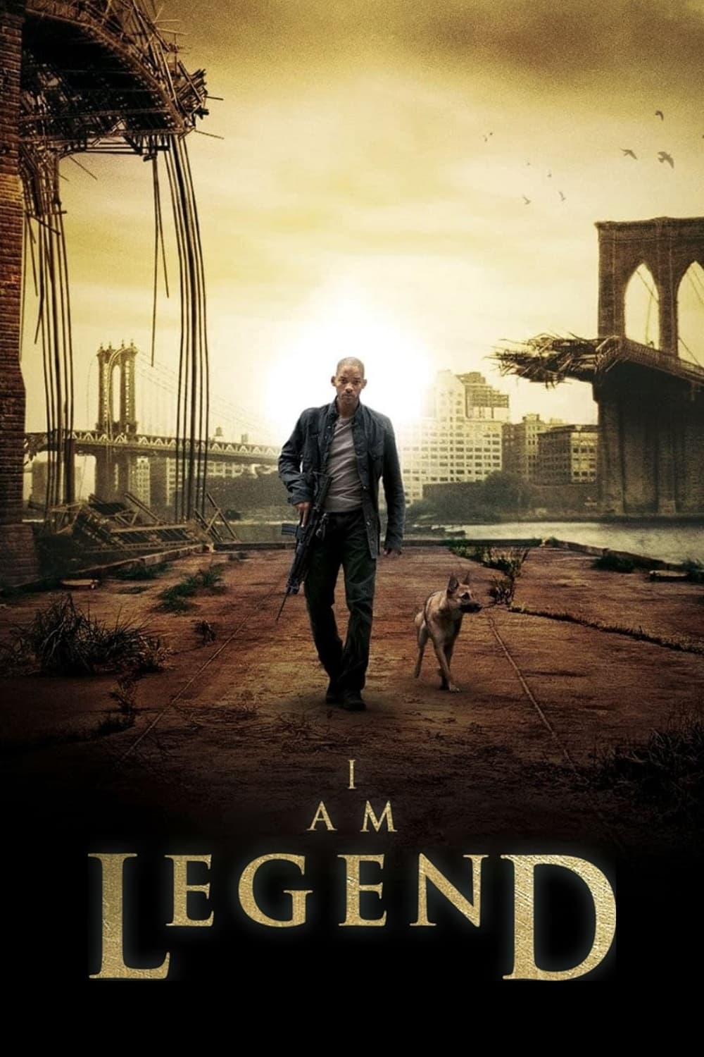 Immagine Io sono leggenda - Poster - Sfondi
