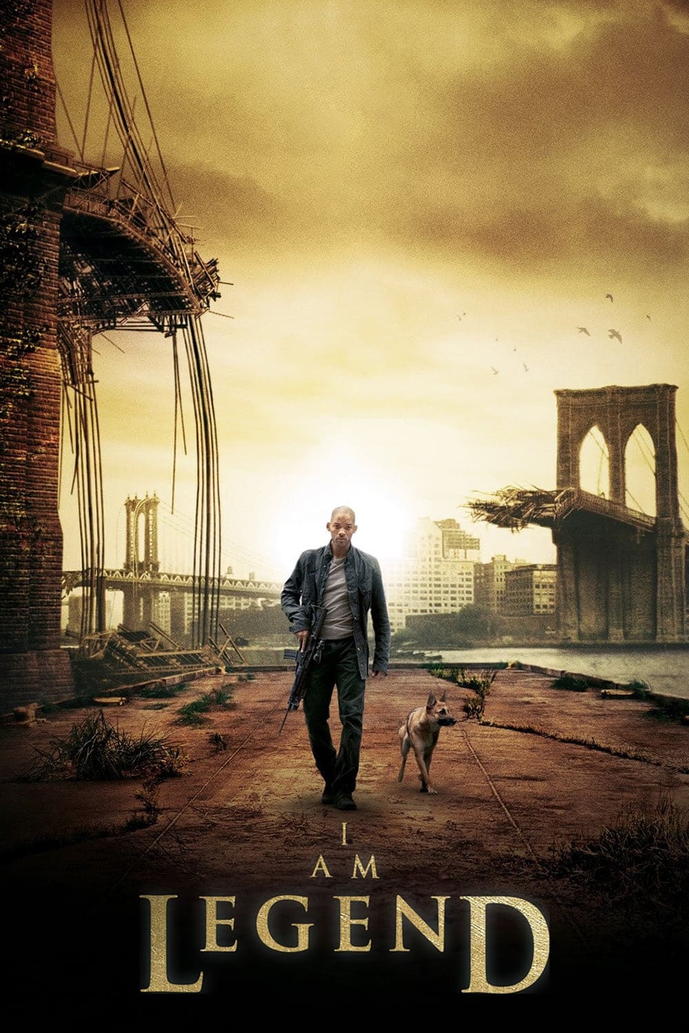 Immagine Io sono leggenda - Poster - Sfondi