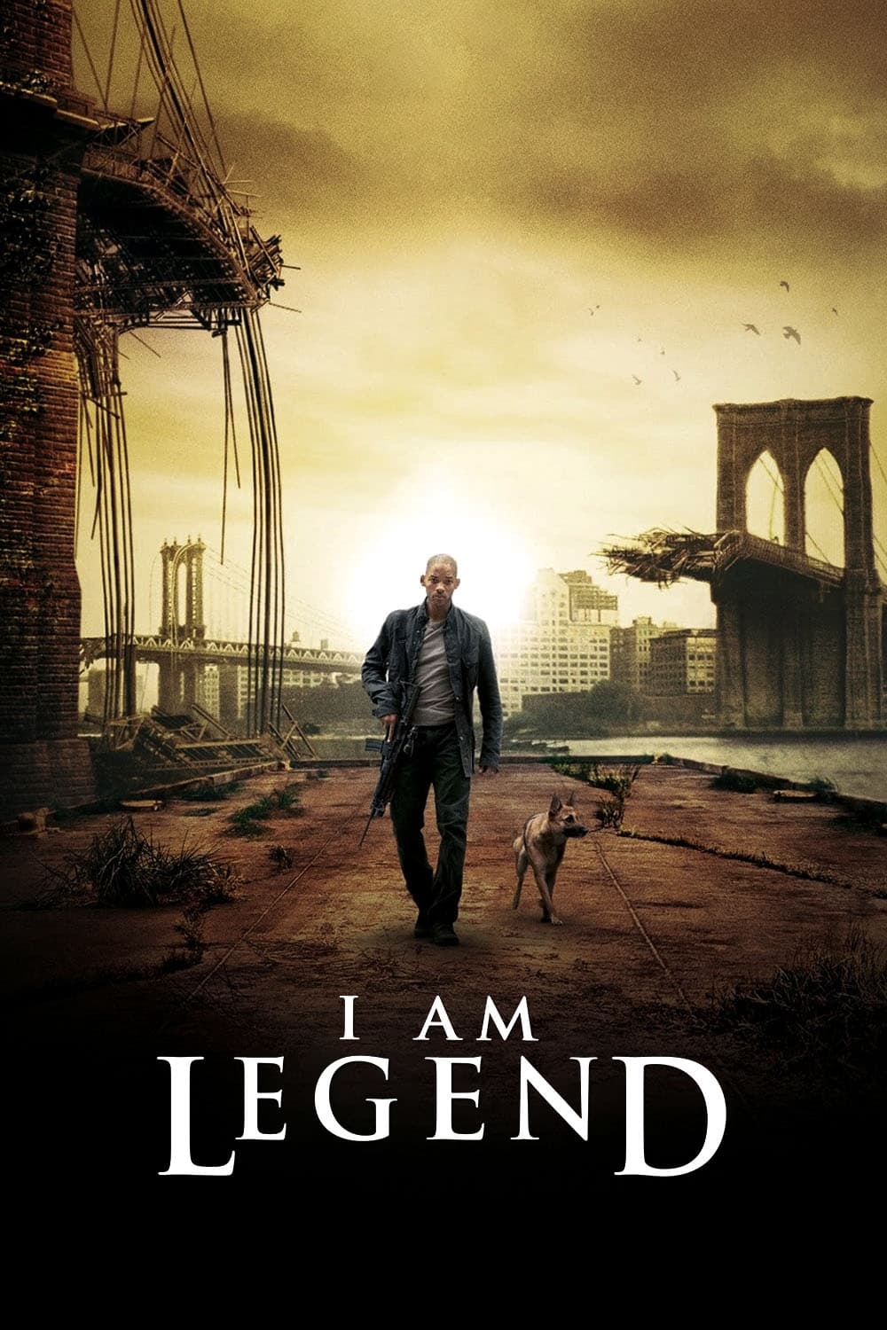 Immagine Io sono leggenda - Poster - Sfondi