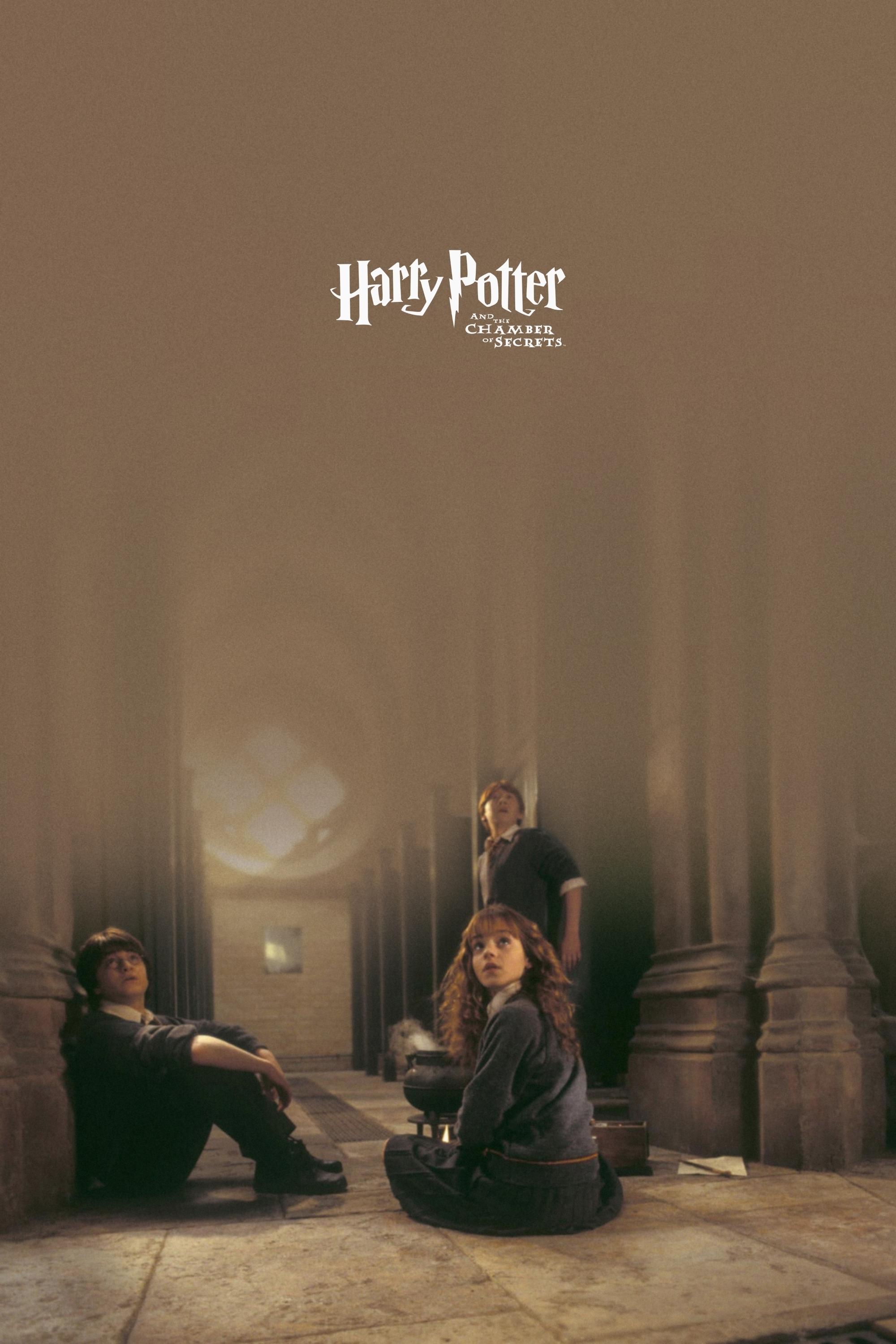 Immagine Harry Potter e la camera dei segreti - Poster - Sfondi