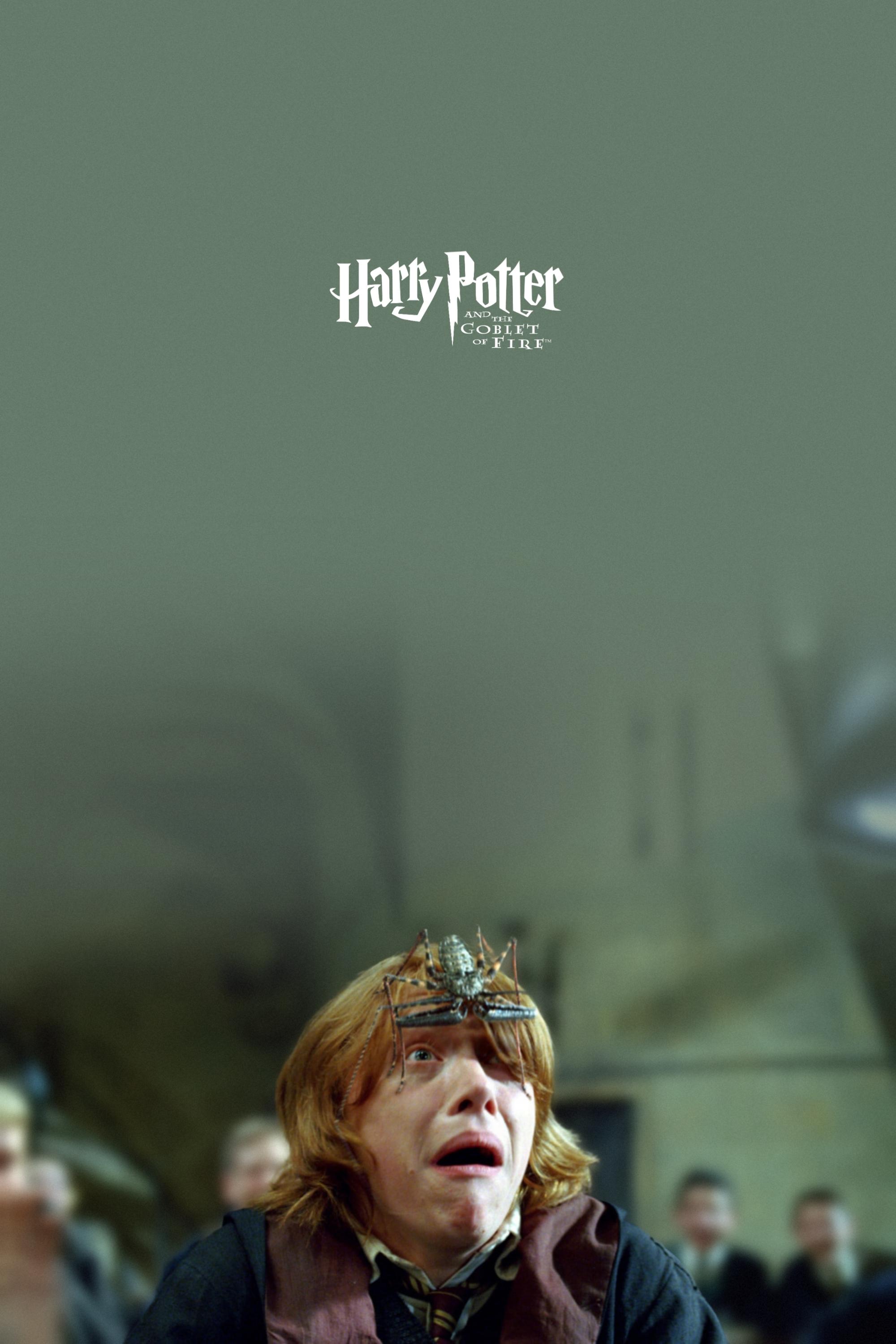 Immagine Harry Potter e il calice di fuoco - Poster - Sfondi