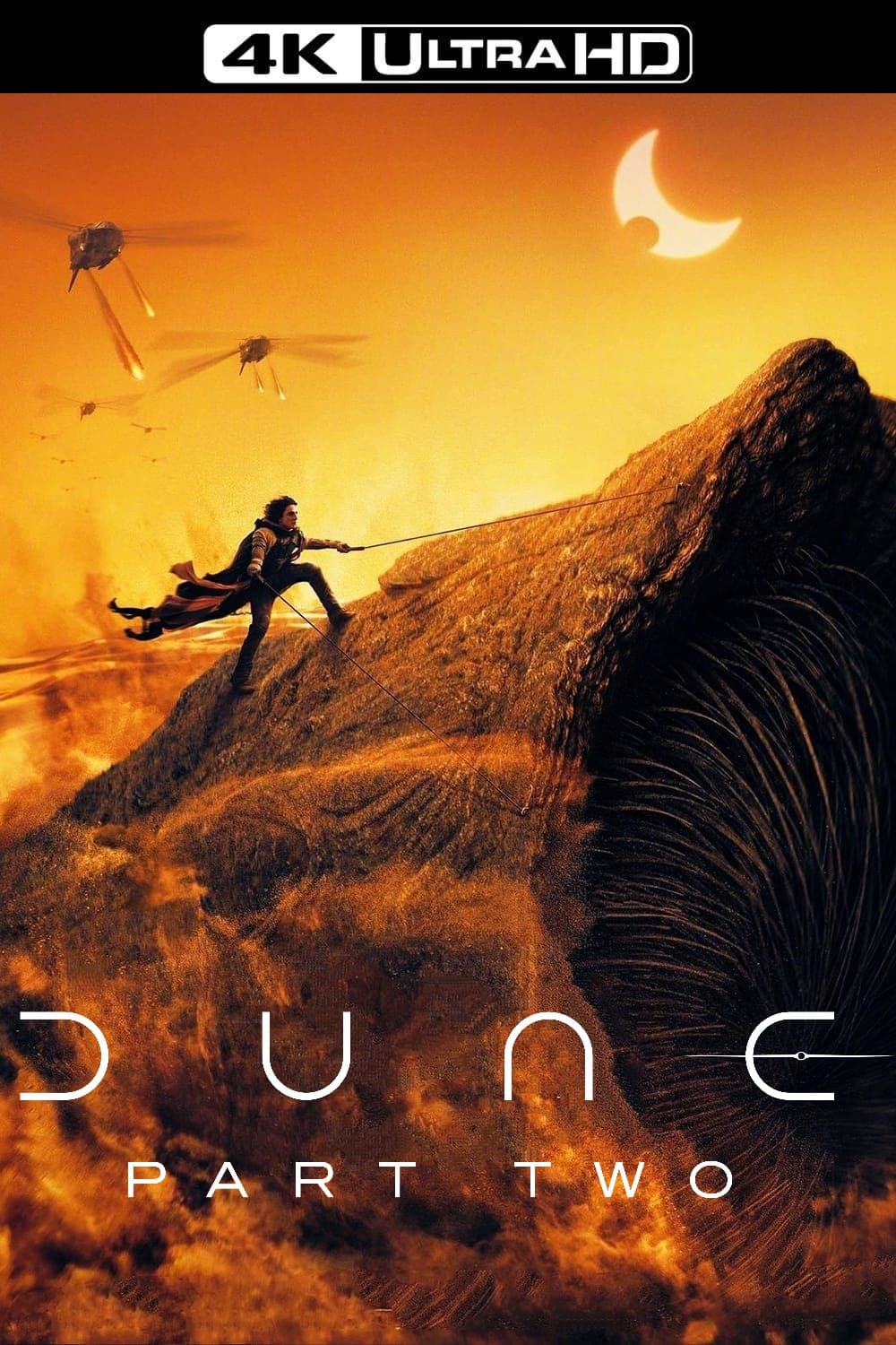 Immagine Dune - Parte due - Poster - Sfondi