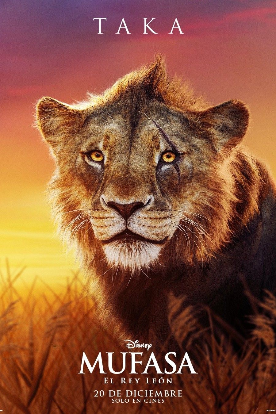 Immagine Mufasa - Il re leone - Poster - Sfondi