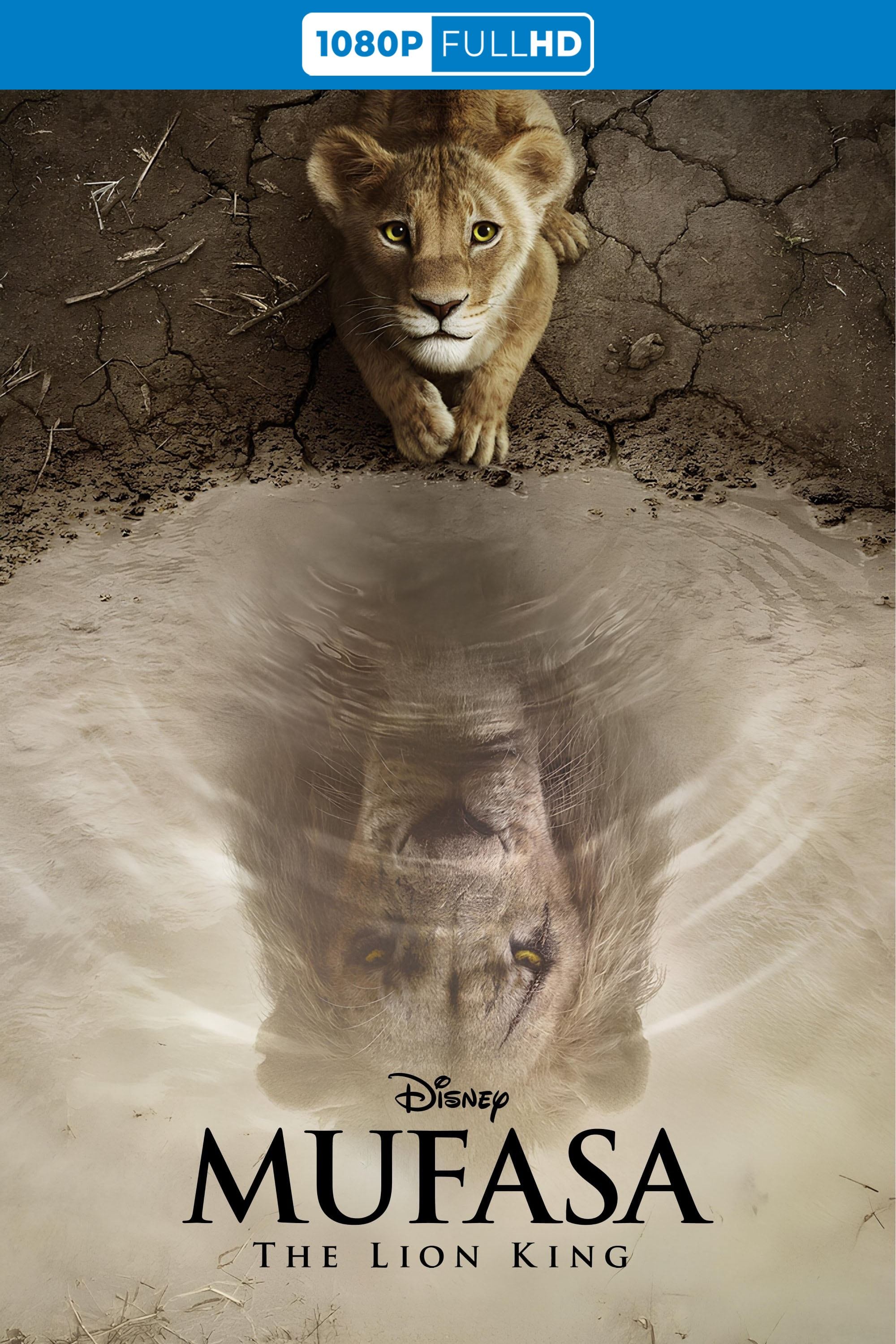 Immagine Mufasa - Il re leone - Poster - Sfondi